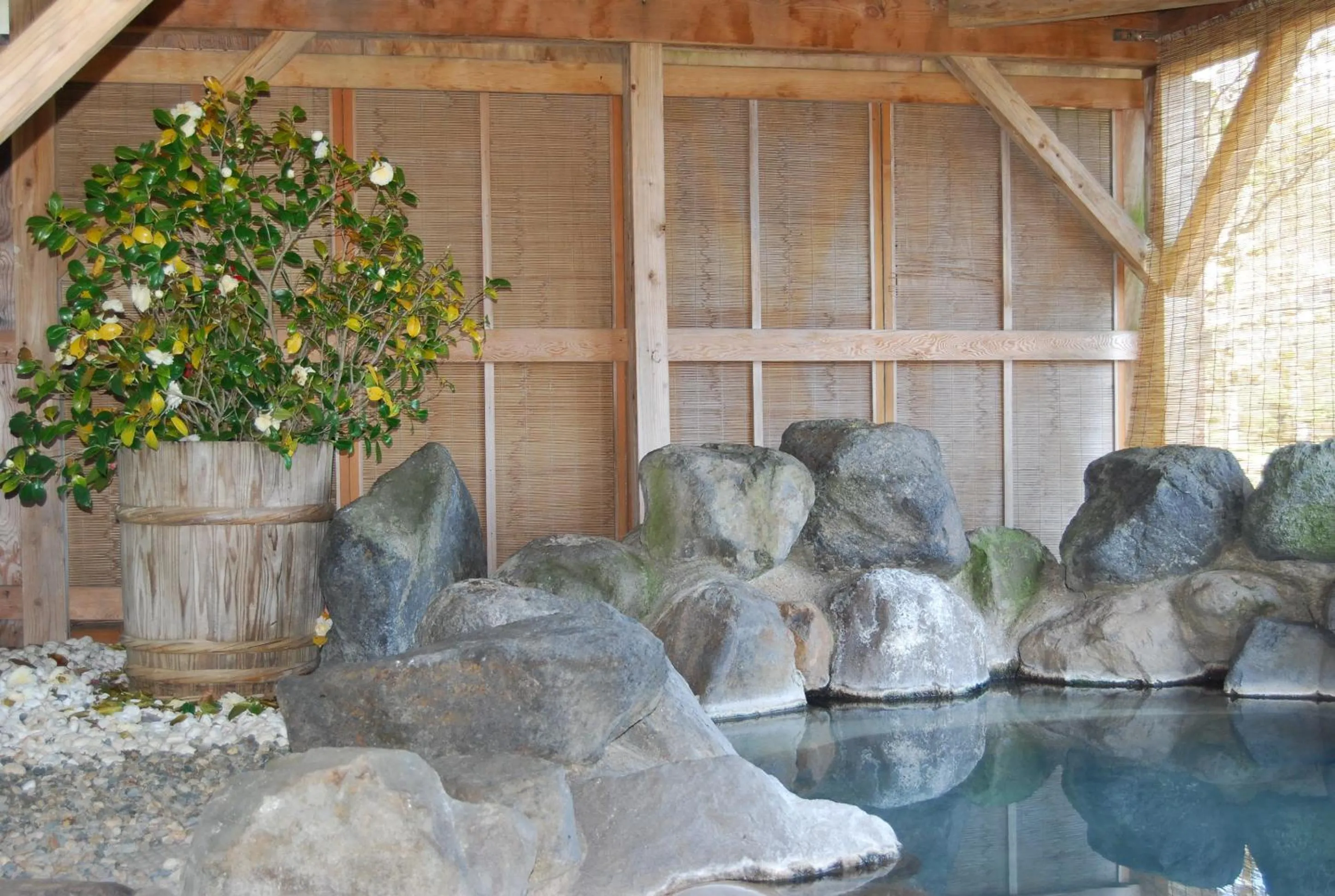 Hot Spring Bath in Kogakuro