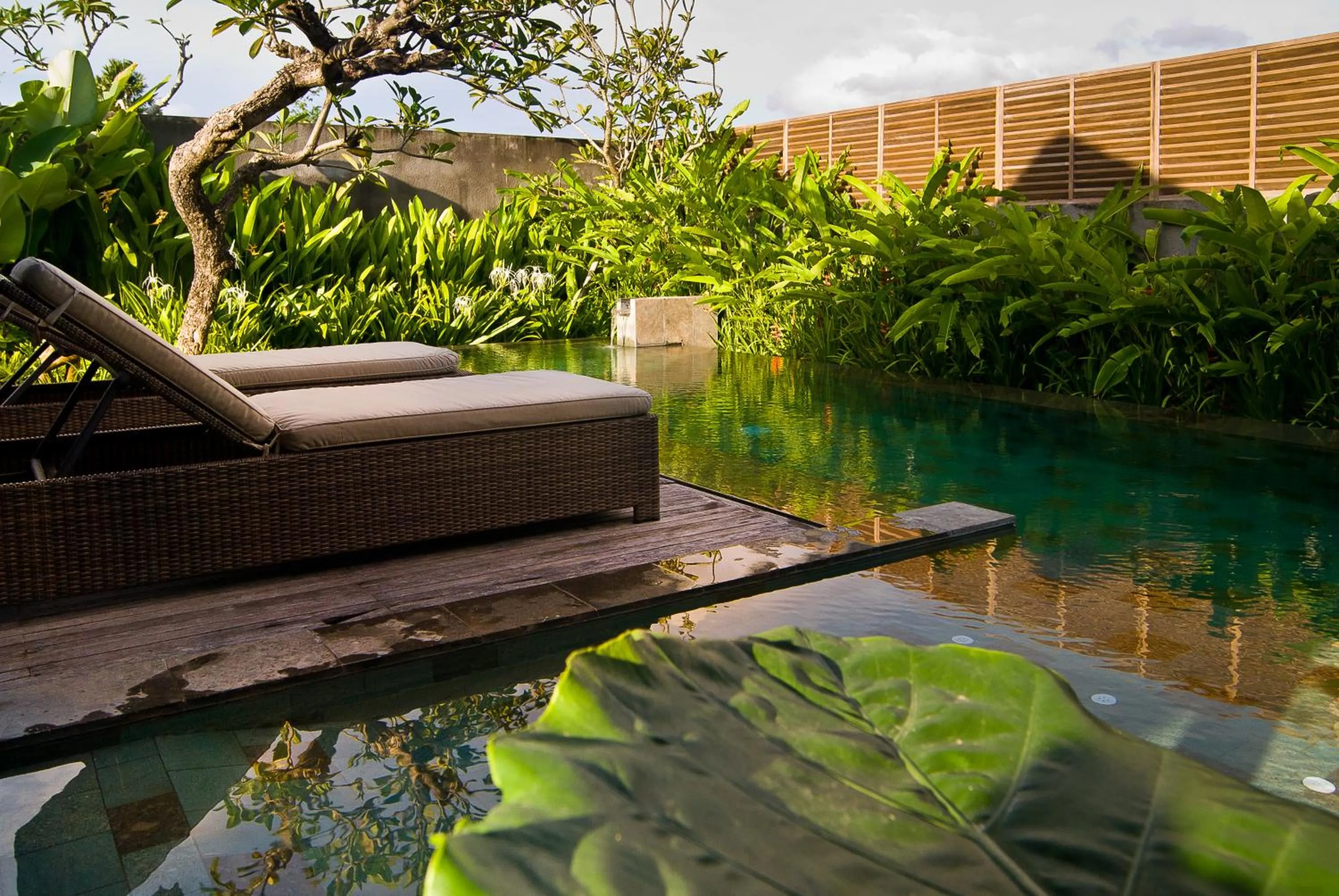 Swimming pool in Komea Villa