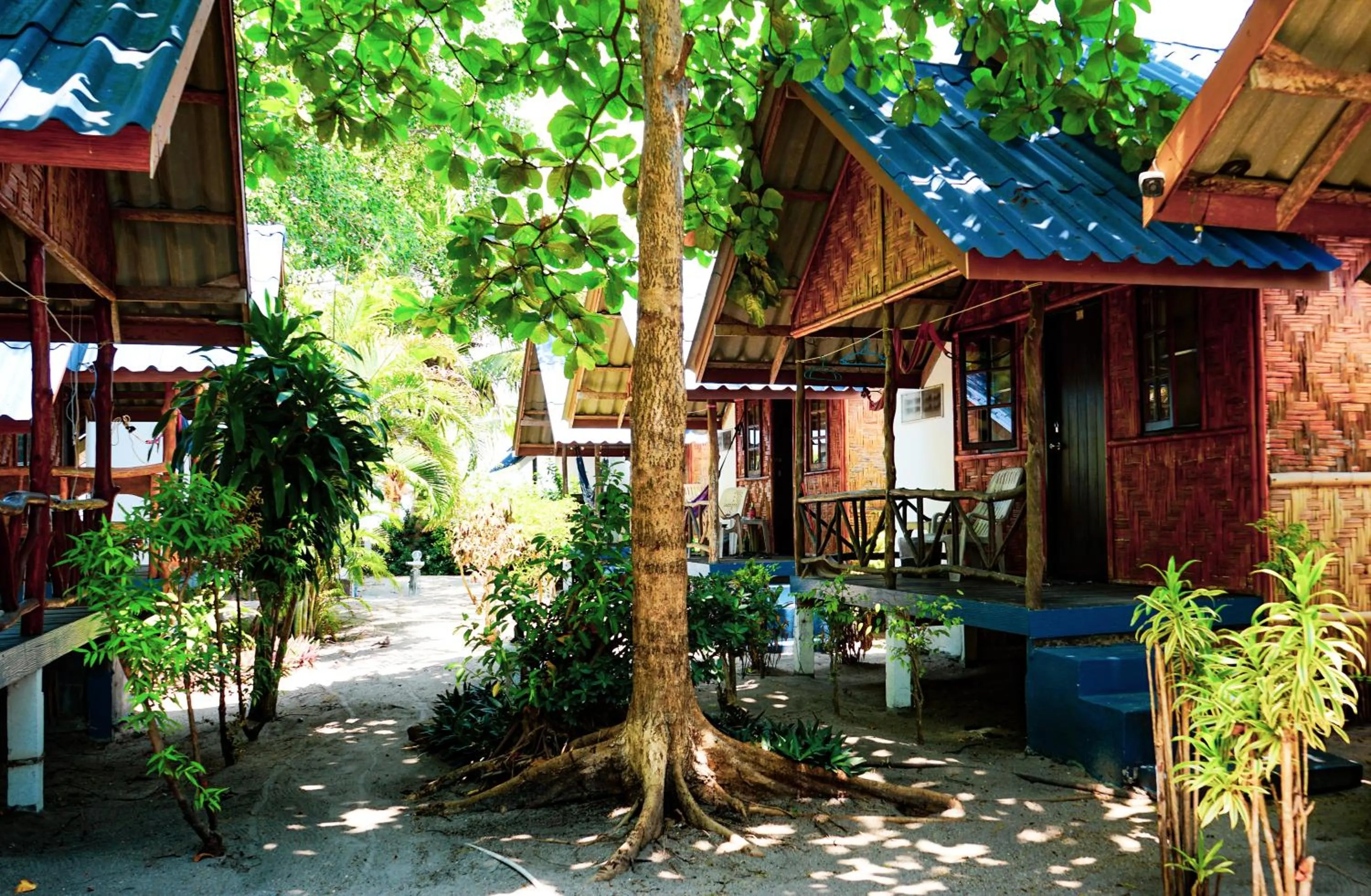 View (from property/room) in Coco Garden Resort