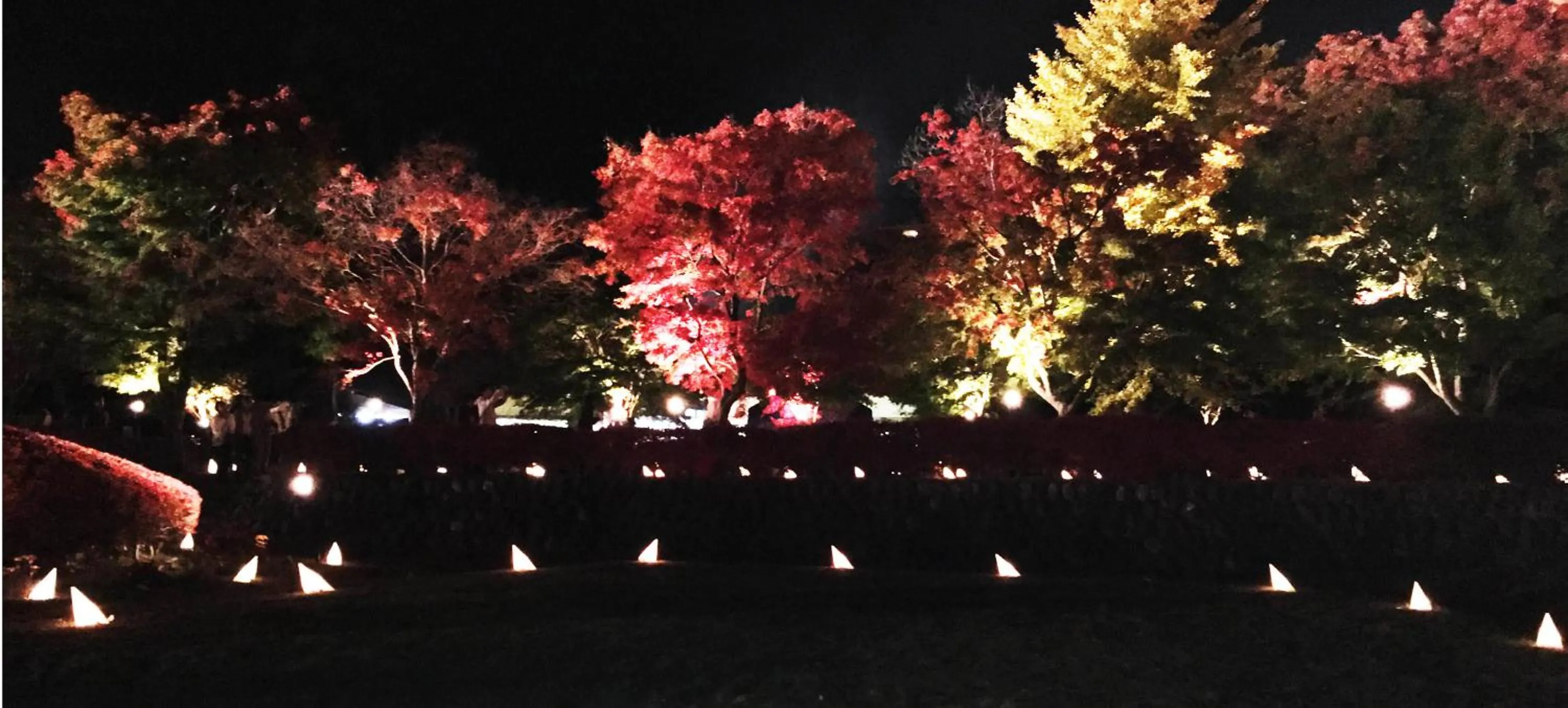 Autumn in Sawa Hotel