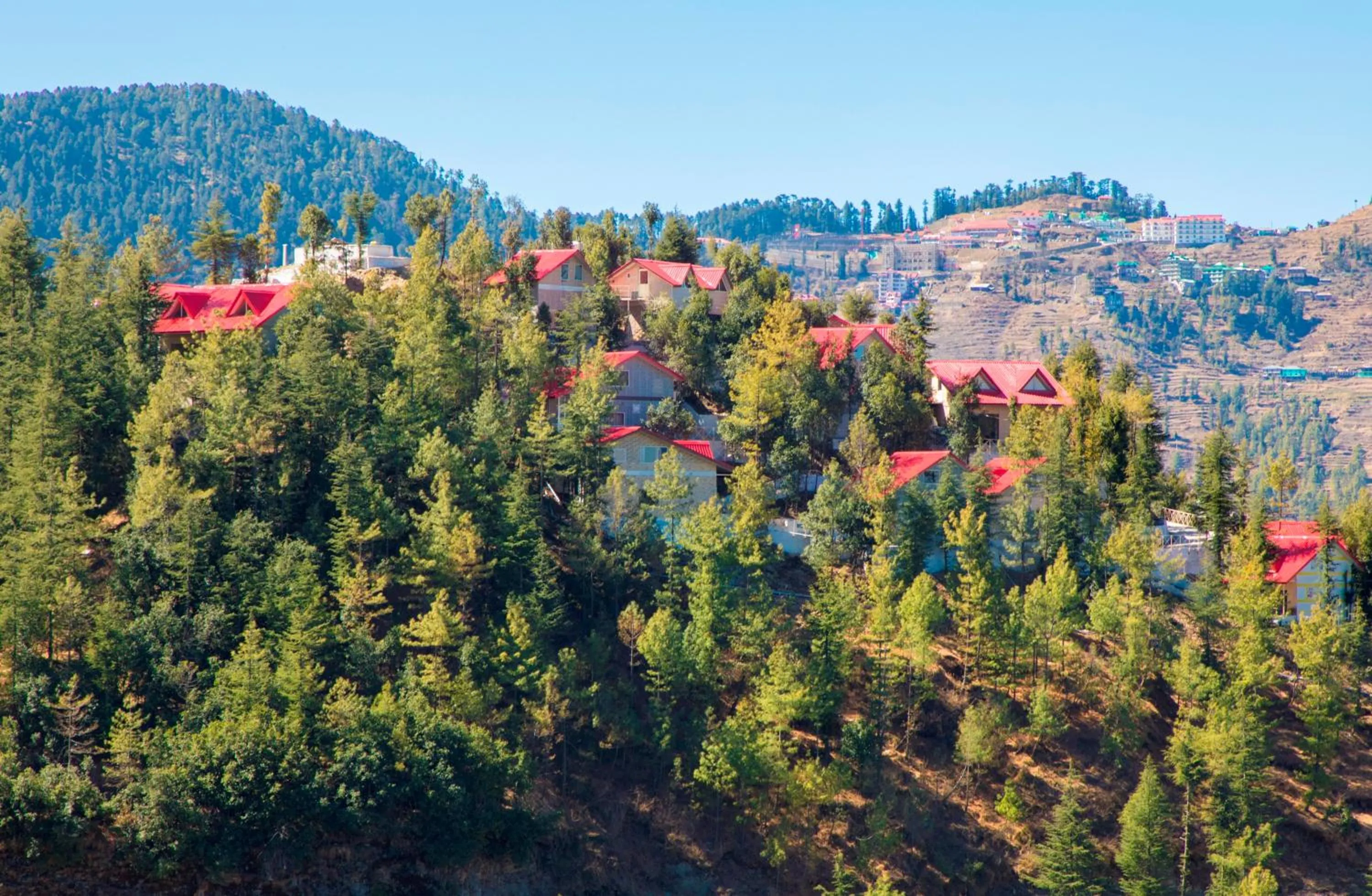 KVR Clarks Inn, Kufri