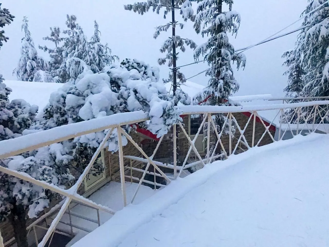 Natural landscape in KVR Clarks Inn, Kufri