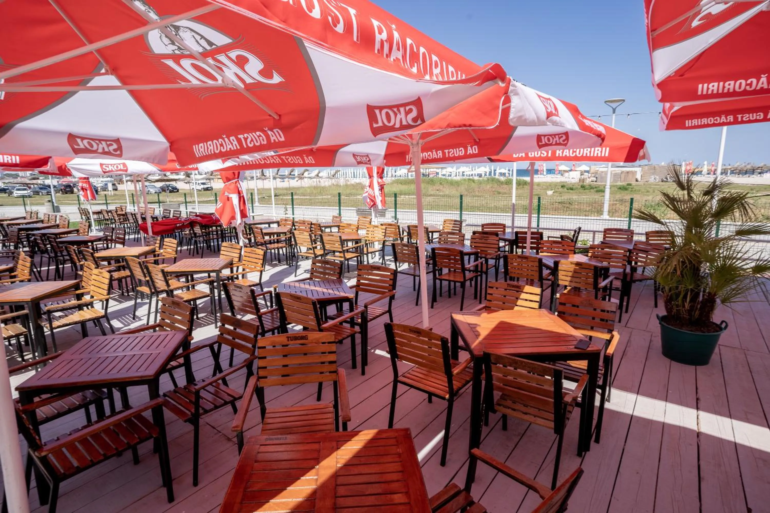 Restaurant/places to eat in Hotel Sirena Saturn All Inclusive