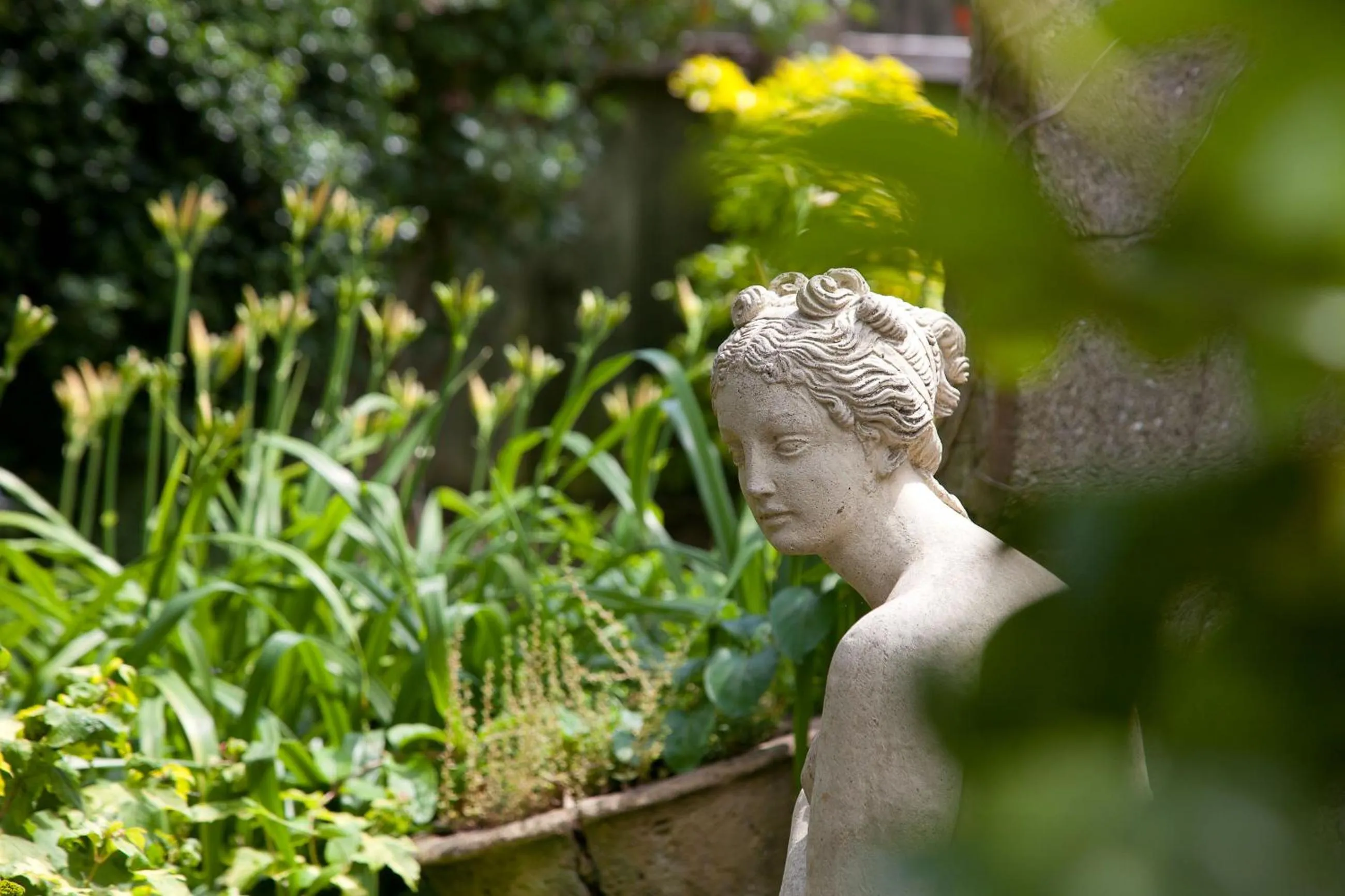Garden in The Old House Guest House