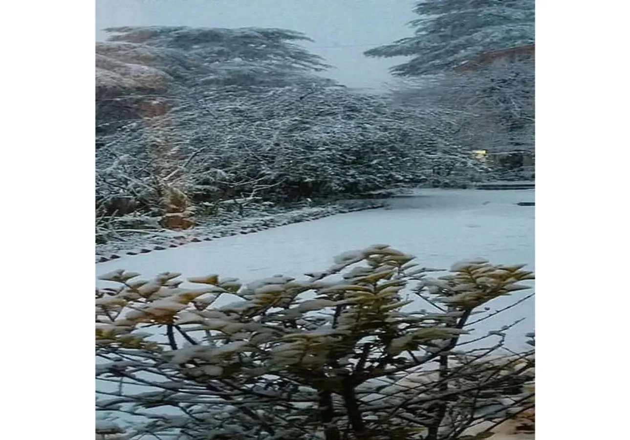 Springfields - A Heritage Palace Since 1902