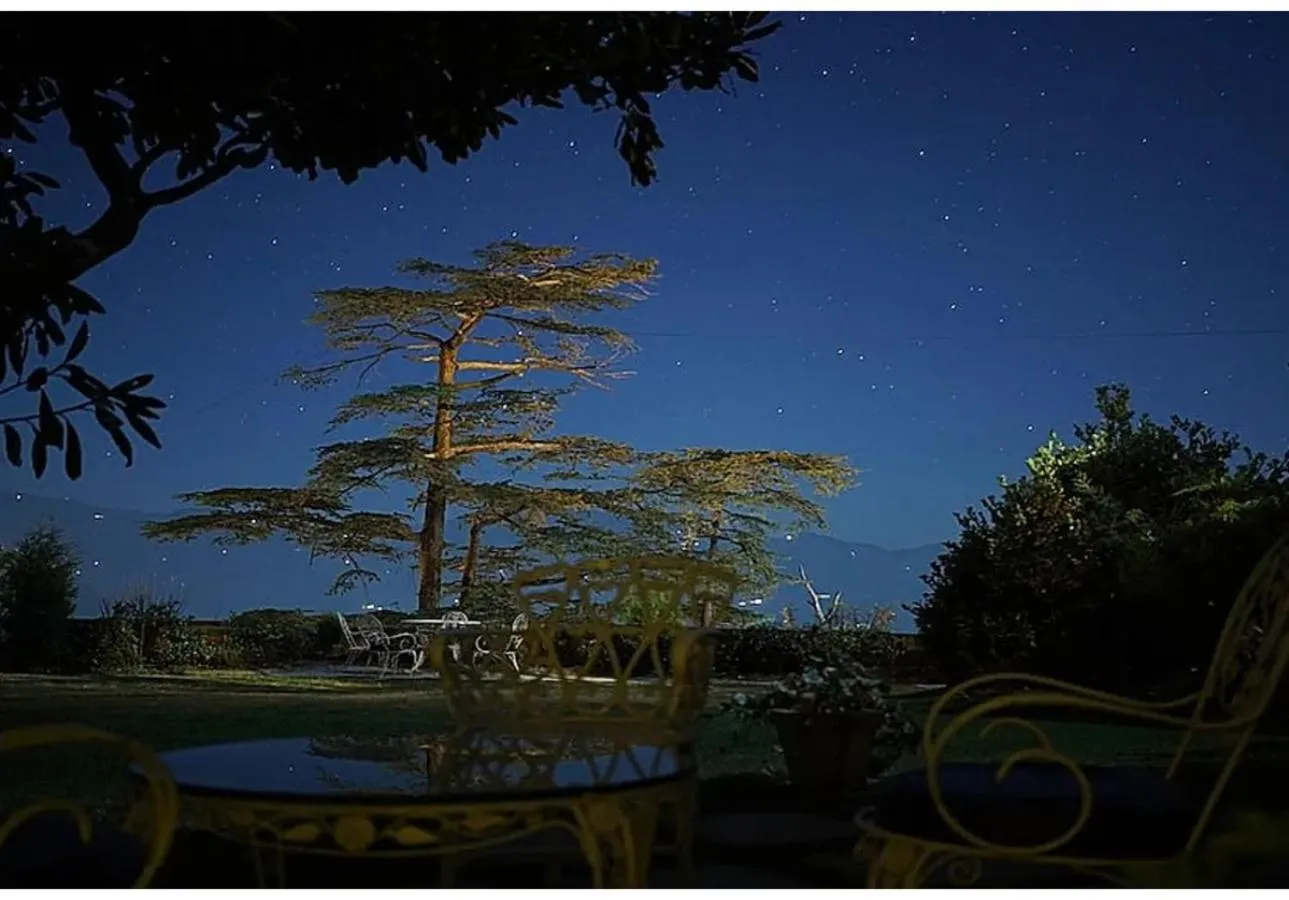 Garden in Springfields - A Heritage Palace Since 1902