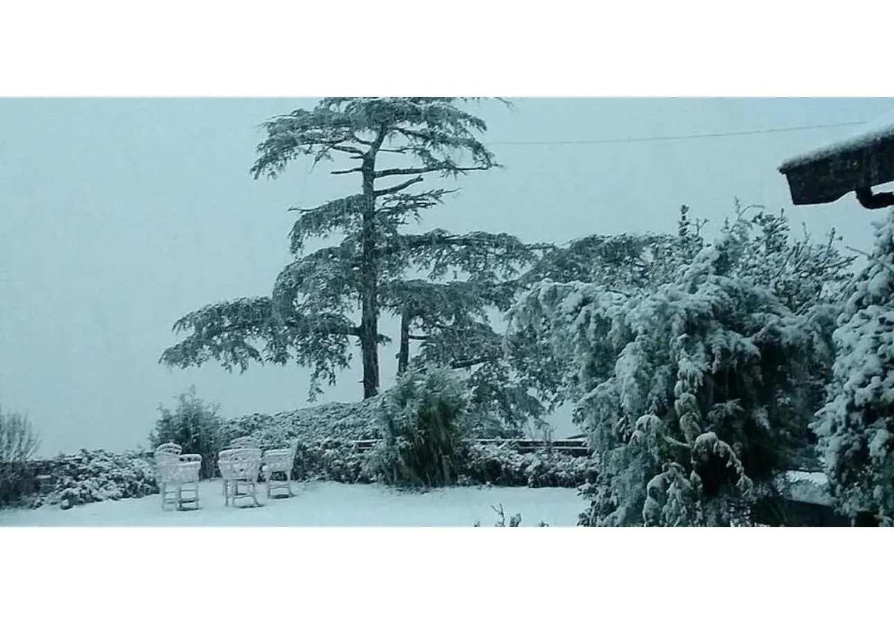 Winter in Springfields - A Heritage Palace Since 1902