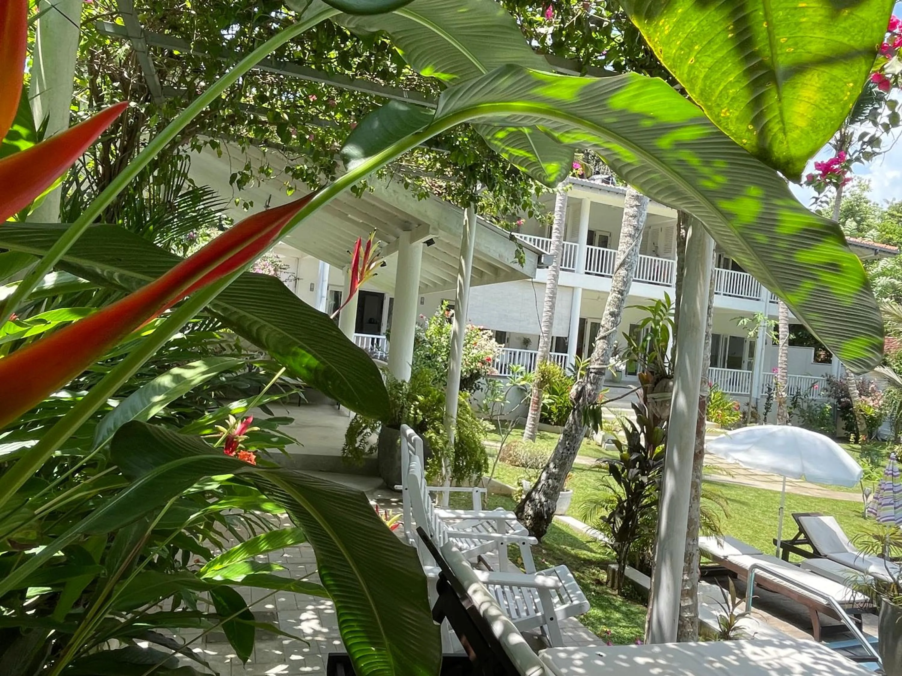 Garden view in Plantation House
