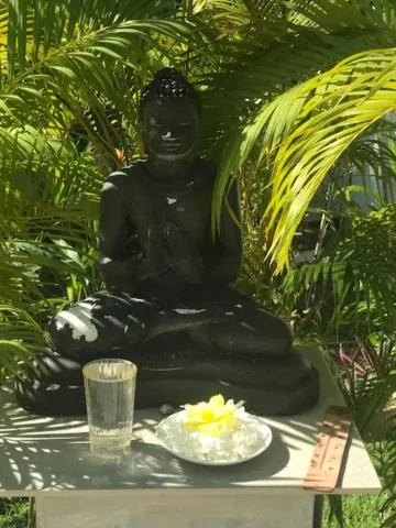 Garden in Plantation House