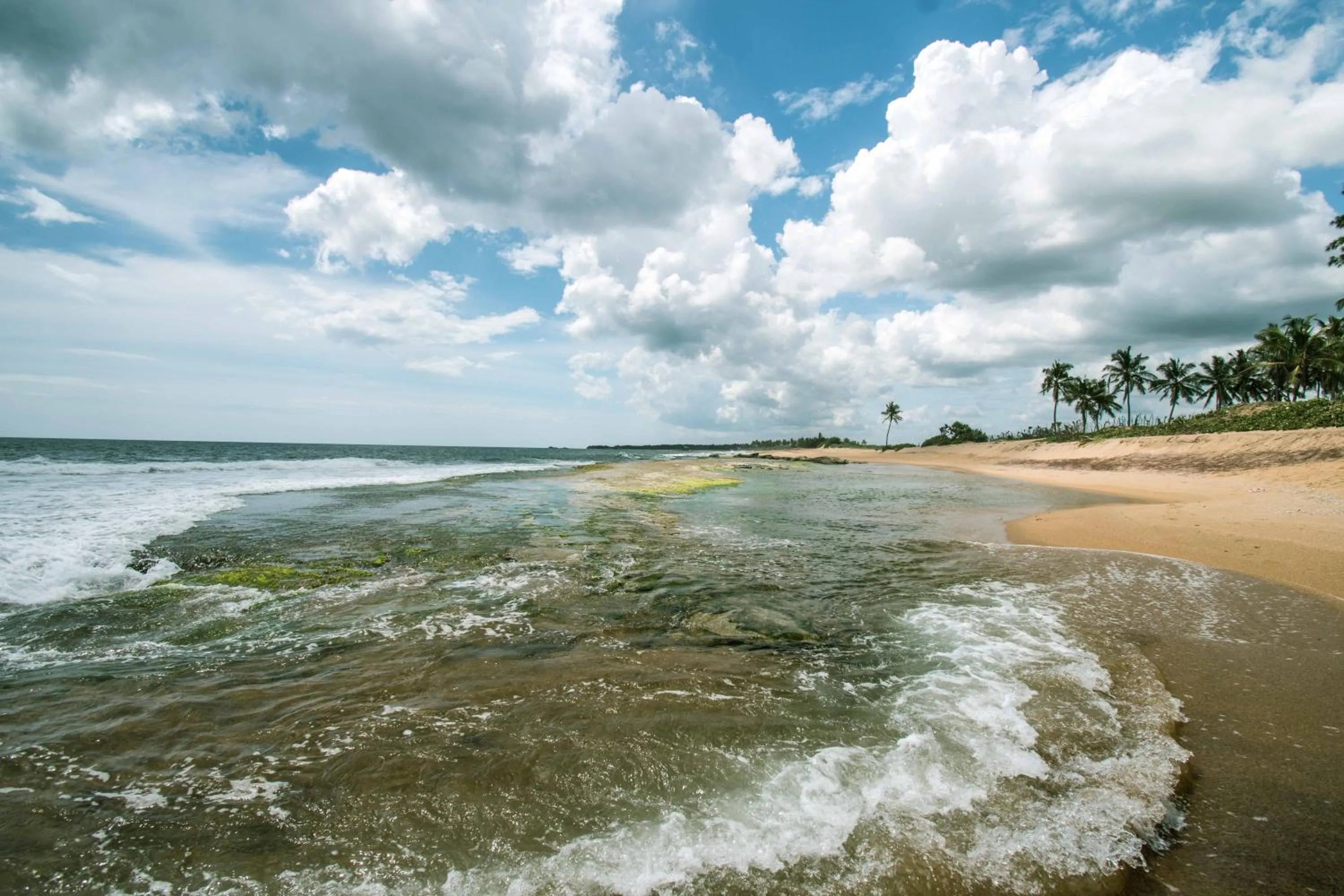 Natural landscape in Ladja Beach Resort