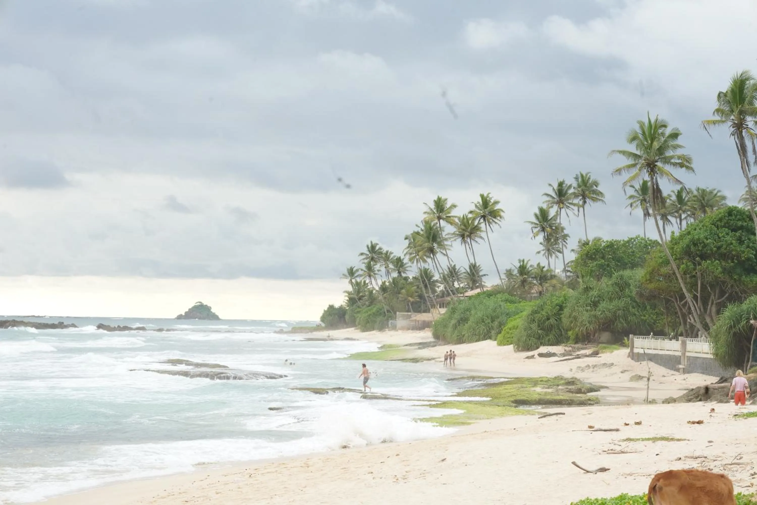 Beach in Surf Orchid Villa