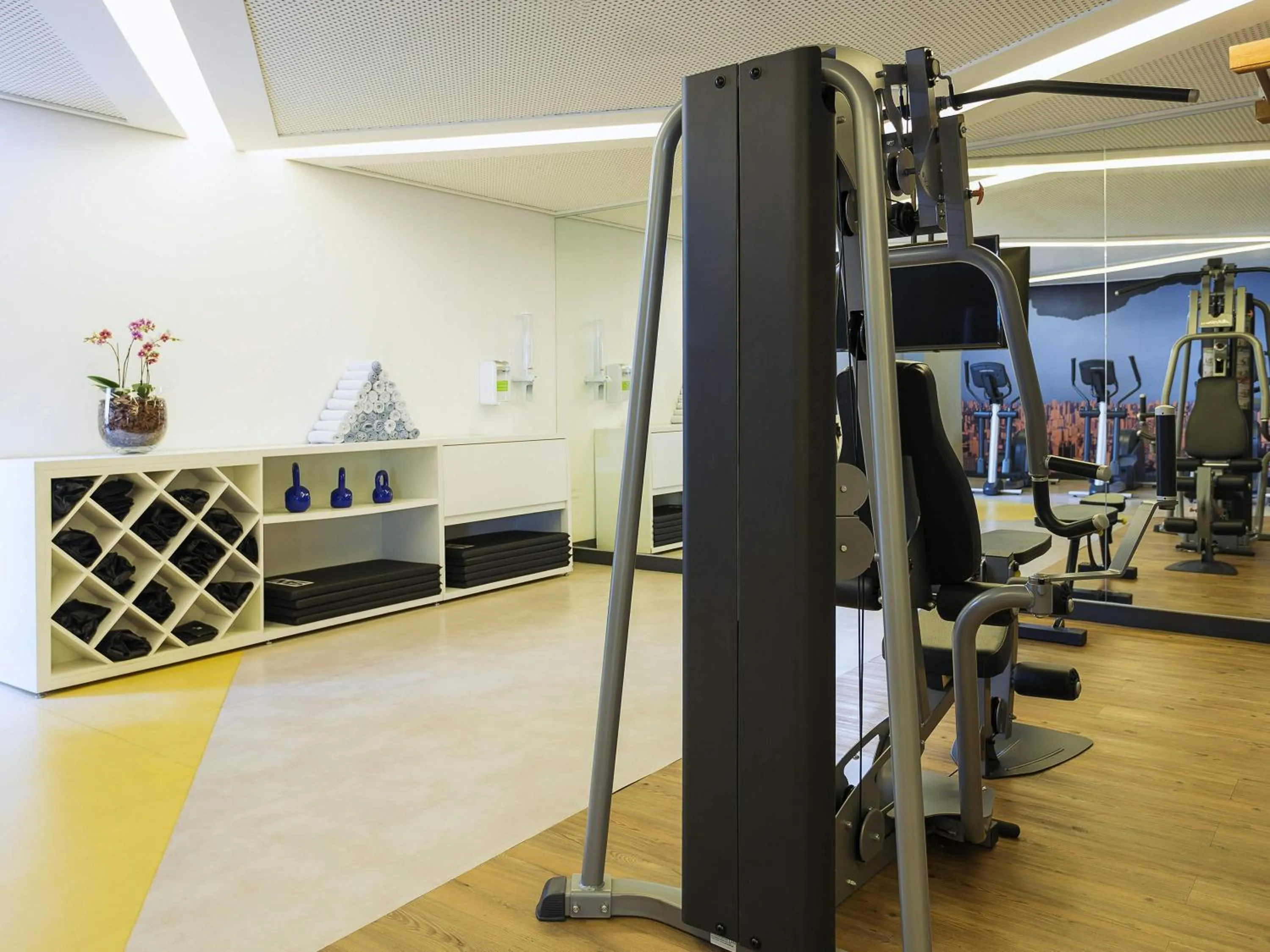 Fitness centre/facilities in Novotel São Paulo Berrini