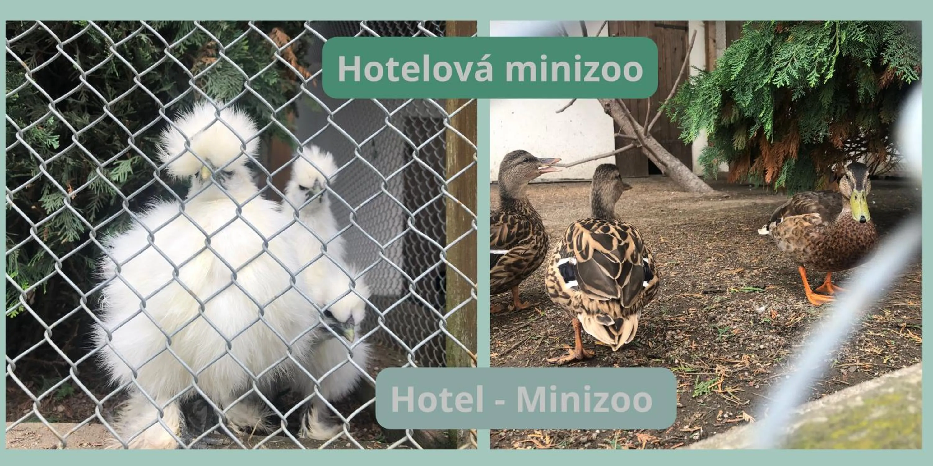 Off site in Lázeňský hotel Pyramida