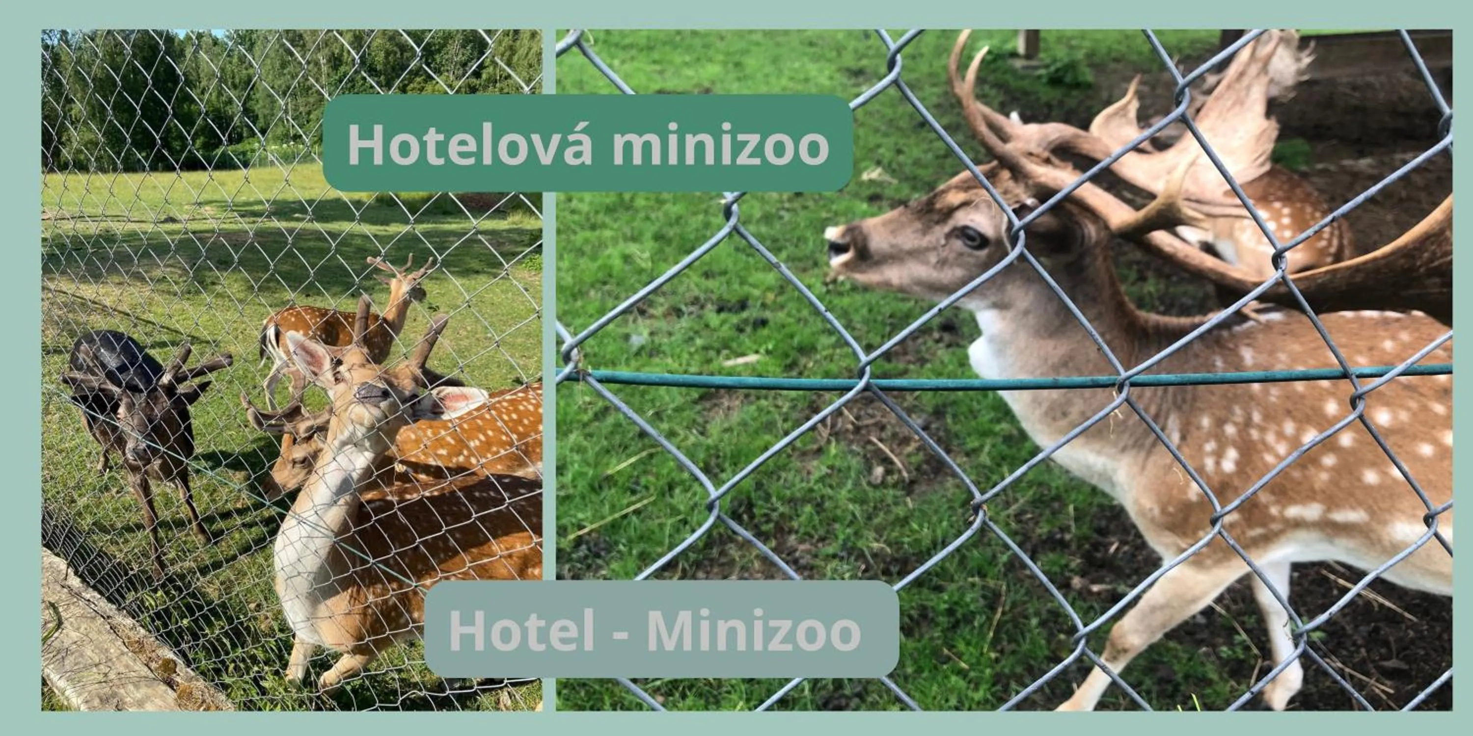 Off site in Lázeňský hotel Pyramida