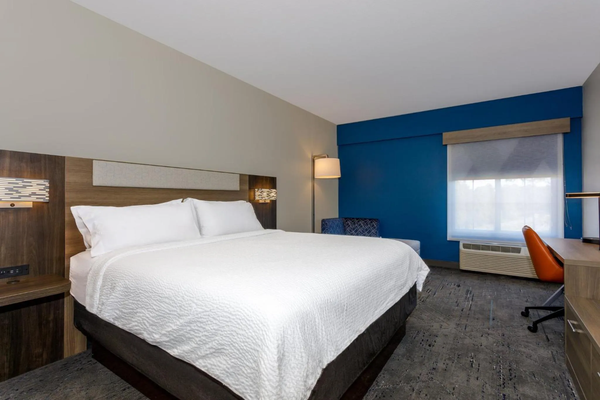 Photo of the whole room, Bed in Holiday Inn Express Tampa North Telecom Park by IHG