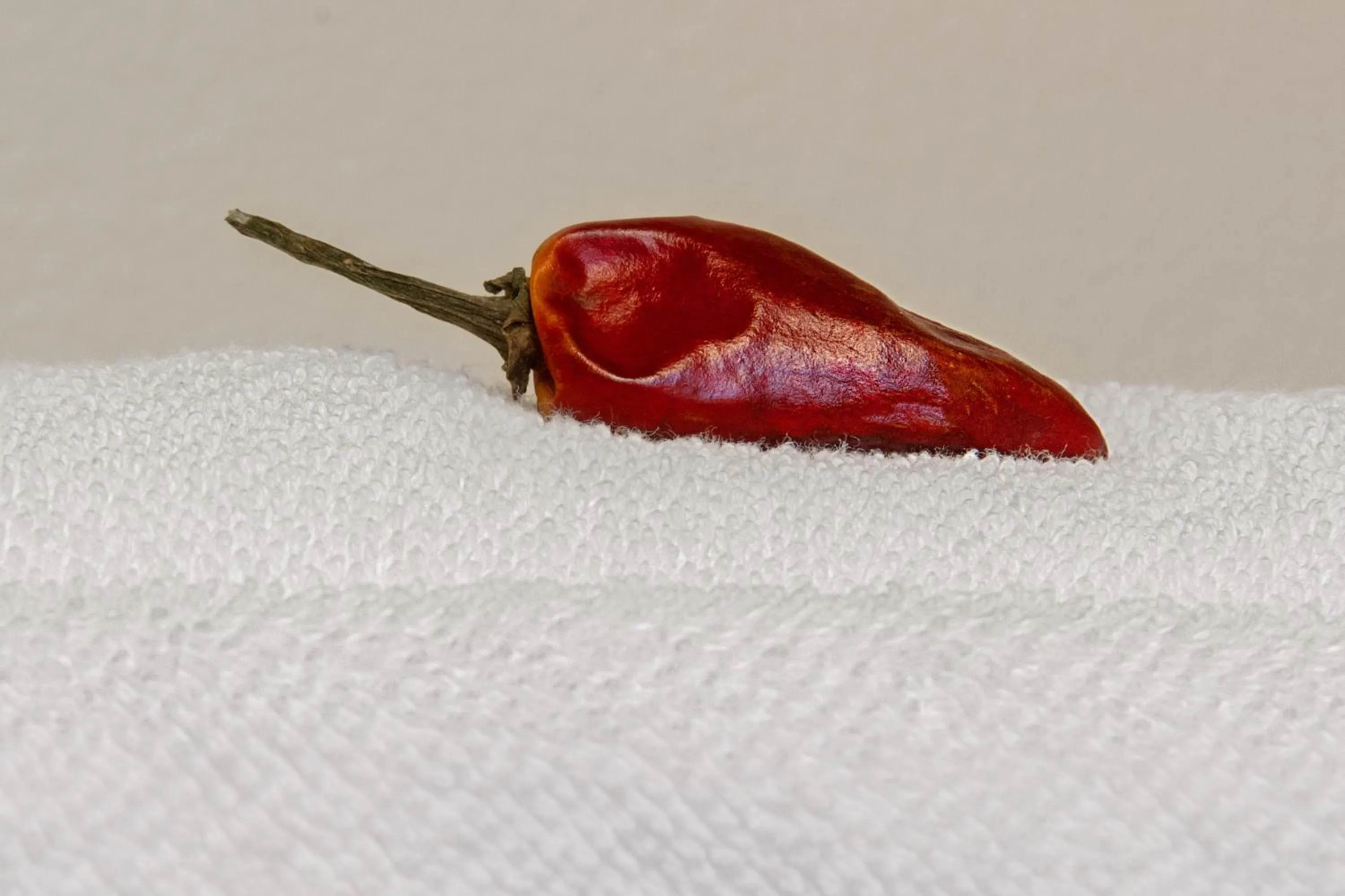 Santa Fe Motel & Inn