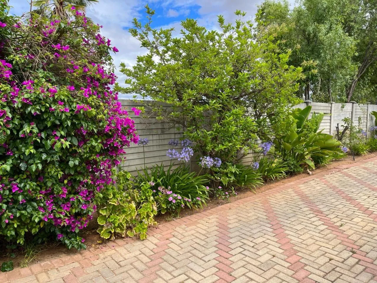 Garden in Oppi Draai Guesthouse