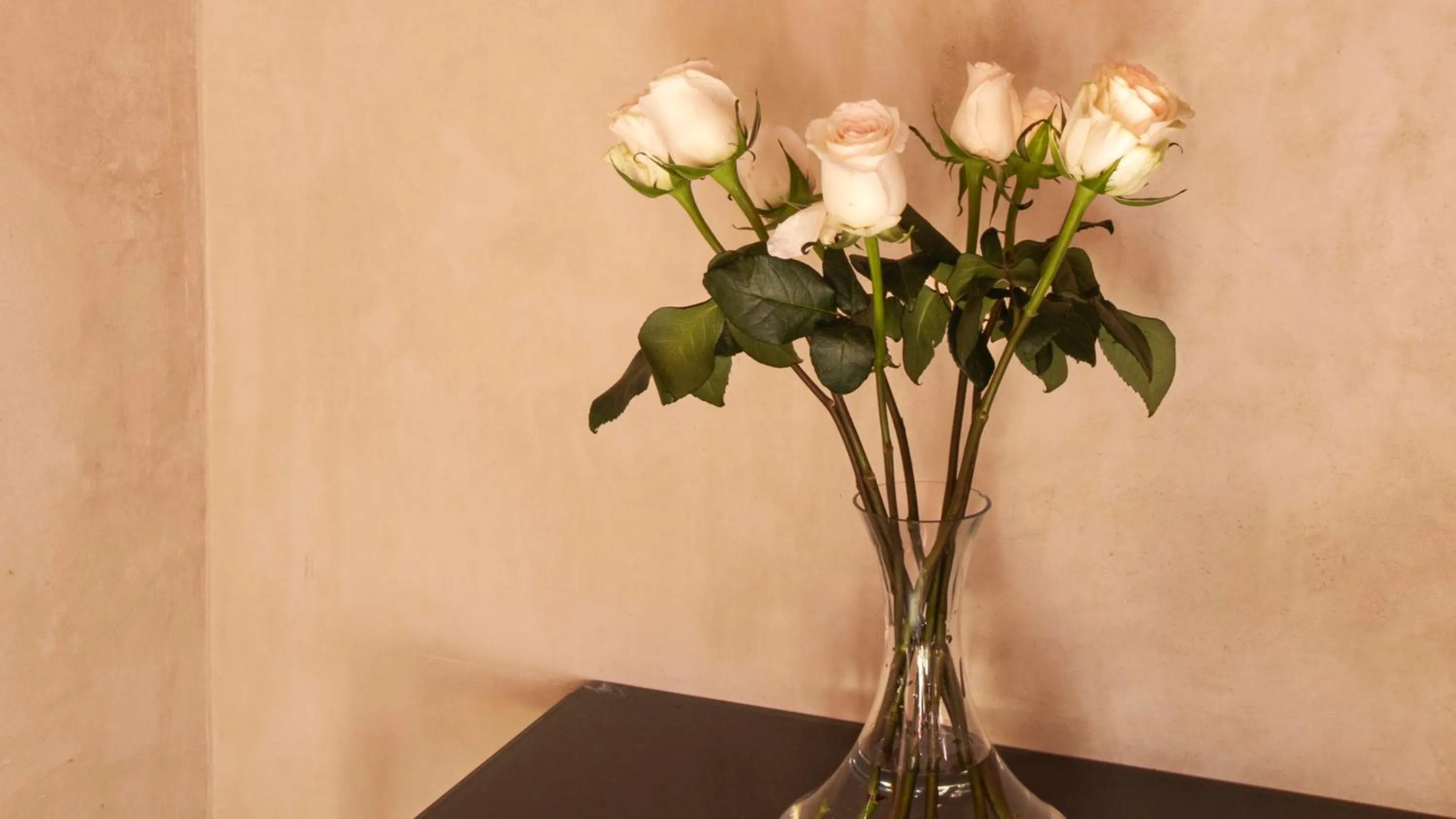 Decorative detail in Rosas & Xocolate Boutique Hotel and Spa Merida, a Member of Design Hotels