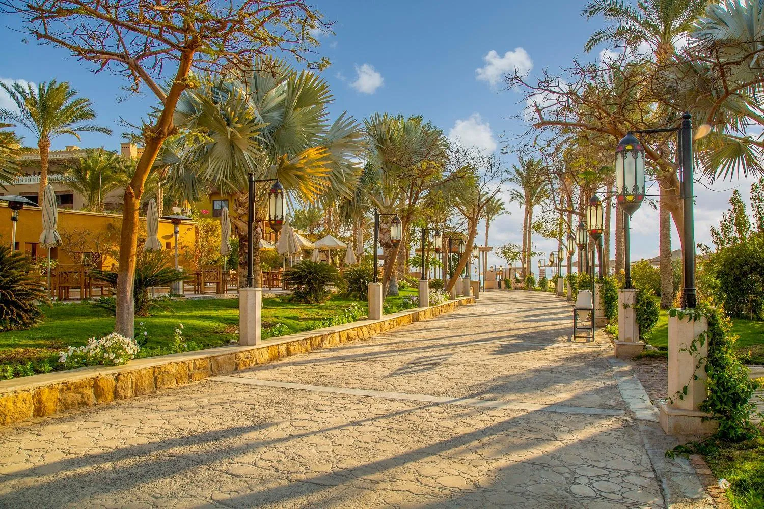 Garden in Grand Waterworld Makadi - Couples and Families Only