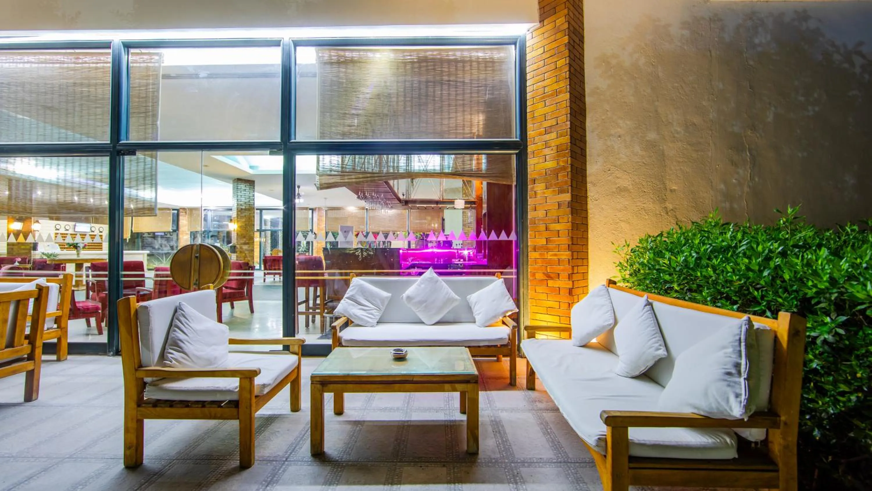 Lounge or bar in Ghazala Beach