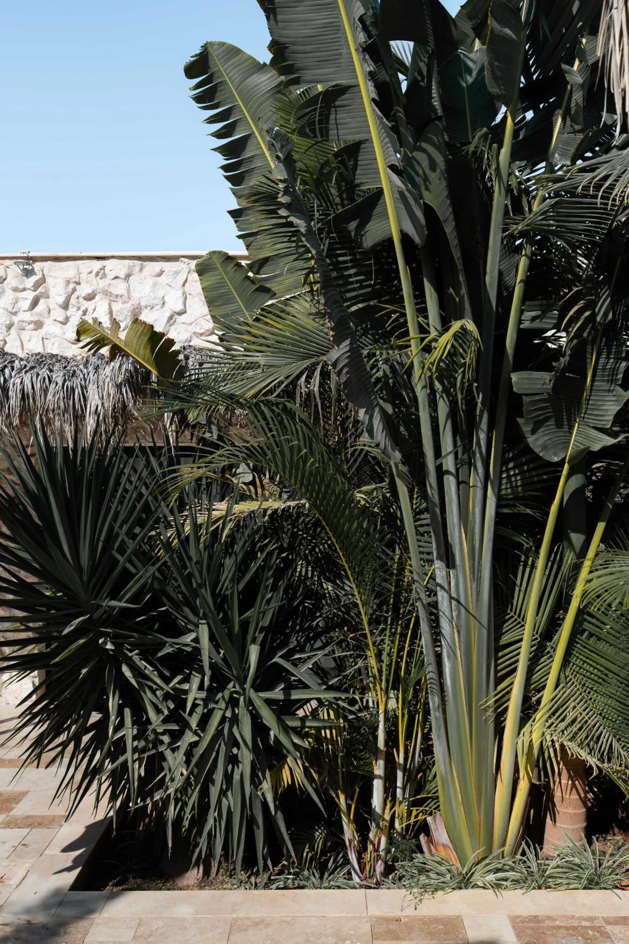 Day in Hotel Anilevich Mansion