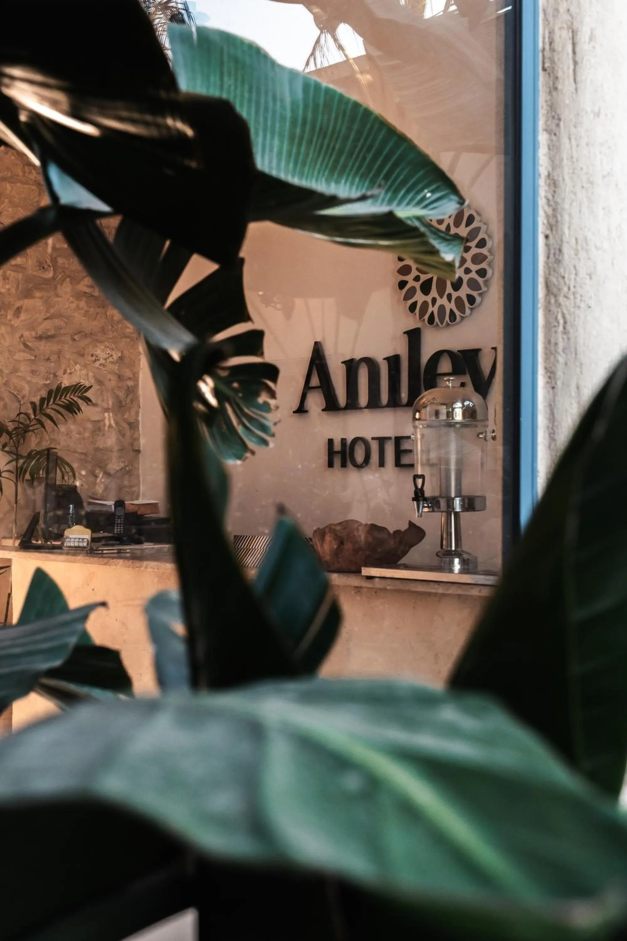 Hotel Anilevich Mansion