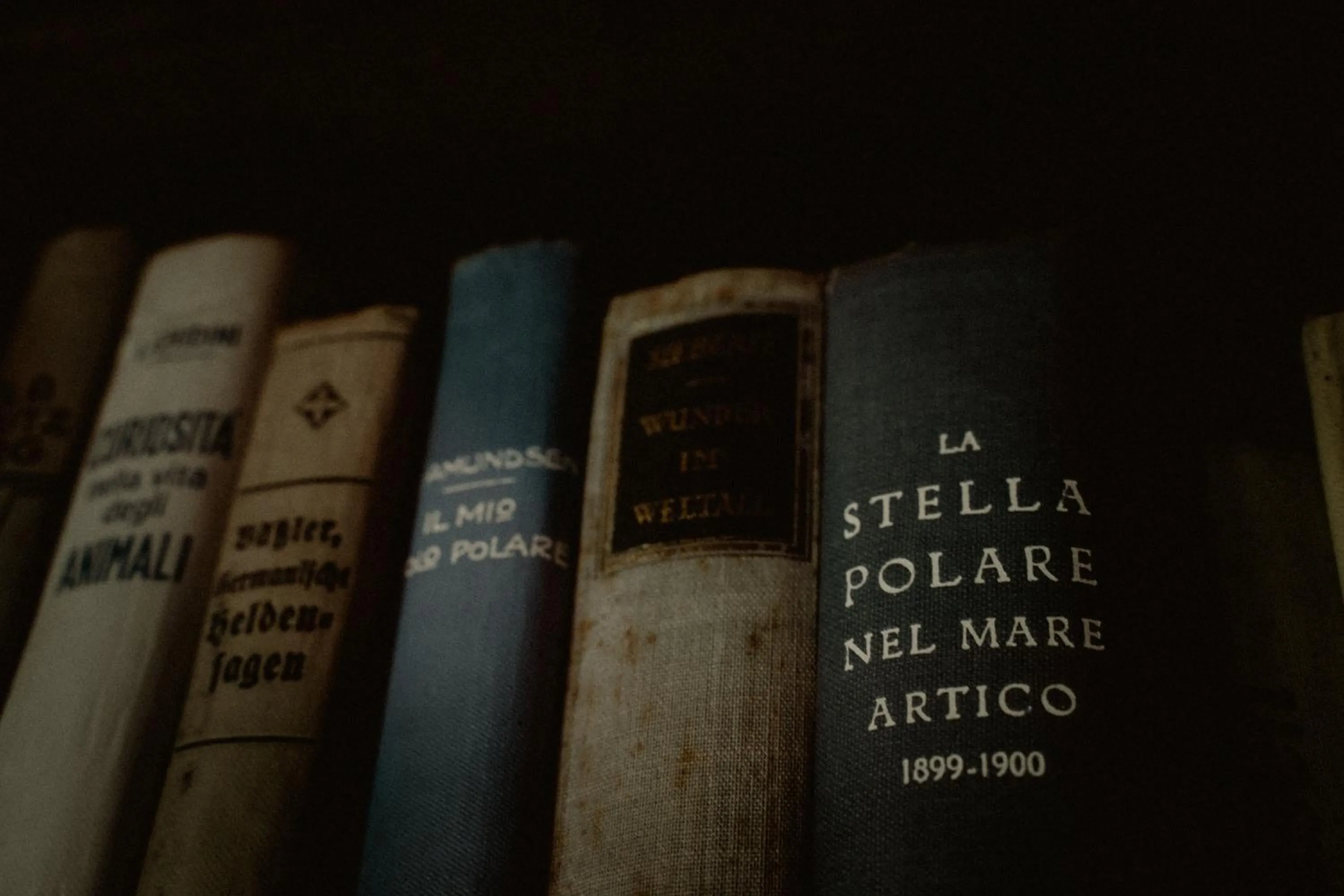 Library in Palazzo Mazziotti