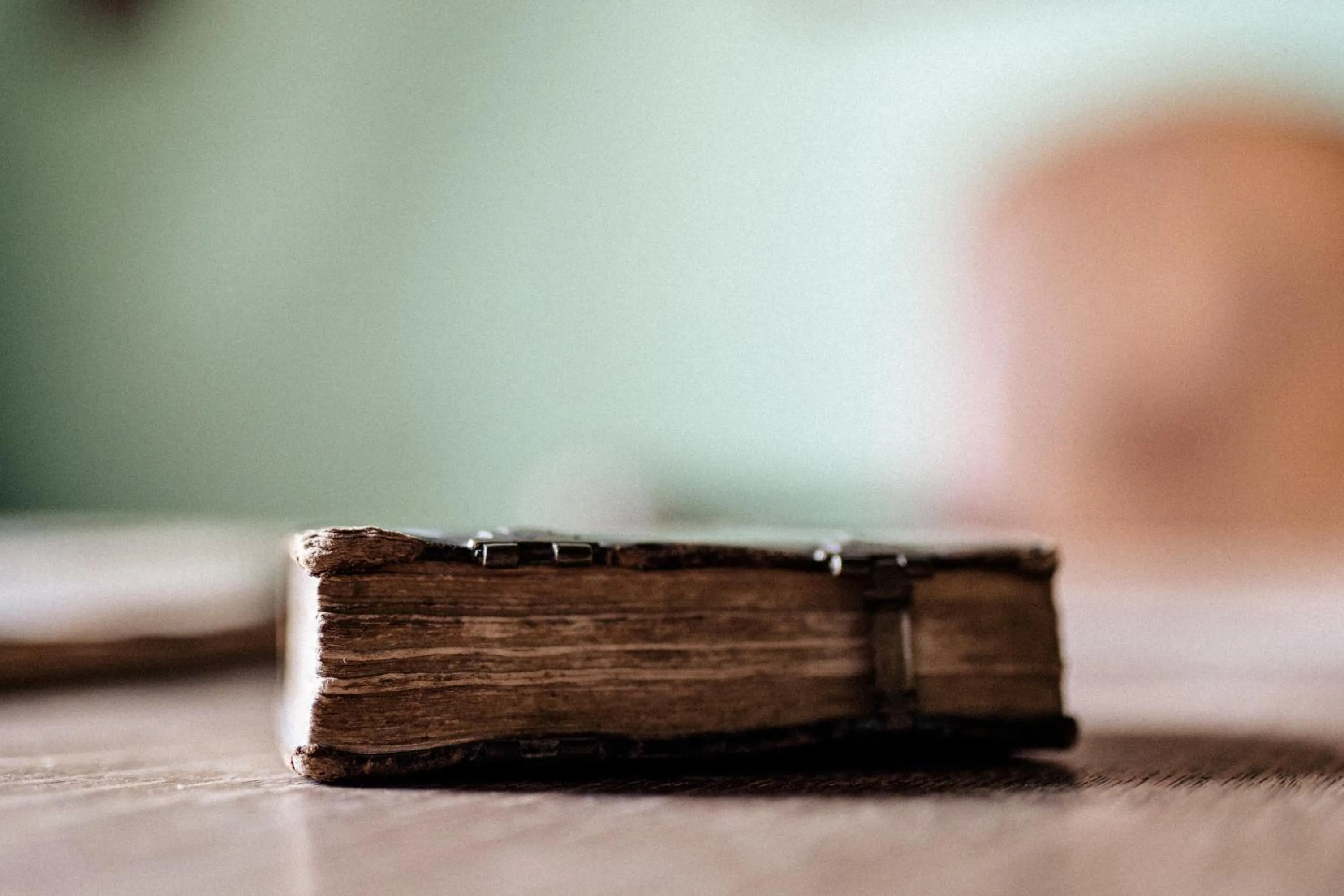 Decorative detail in Palazzo Mazziotti