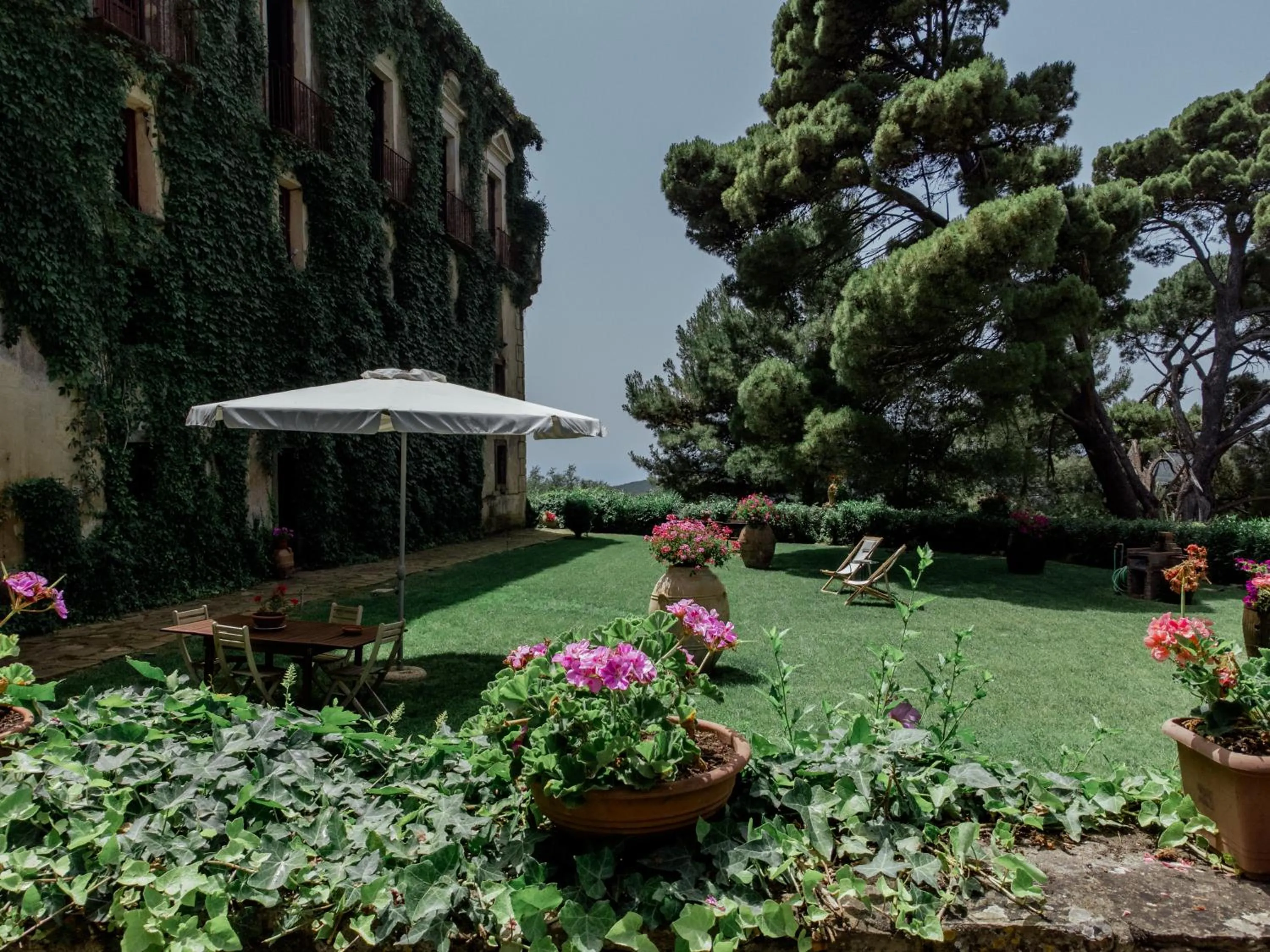 Garden in Palazzo Mazziotti