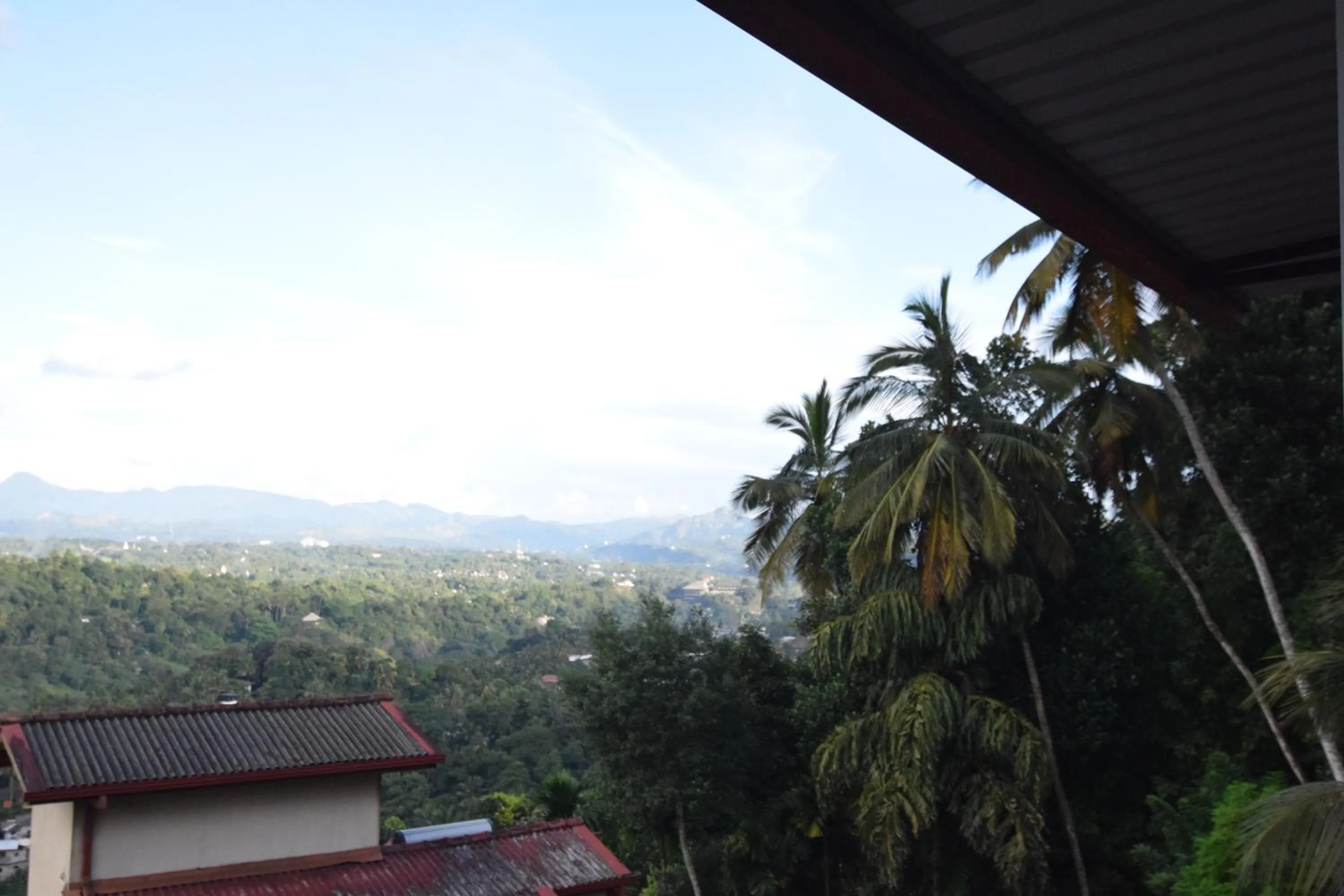 Natural landscape in Serenity Hill Oasis