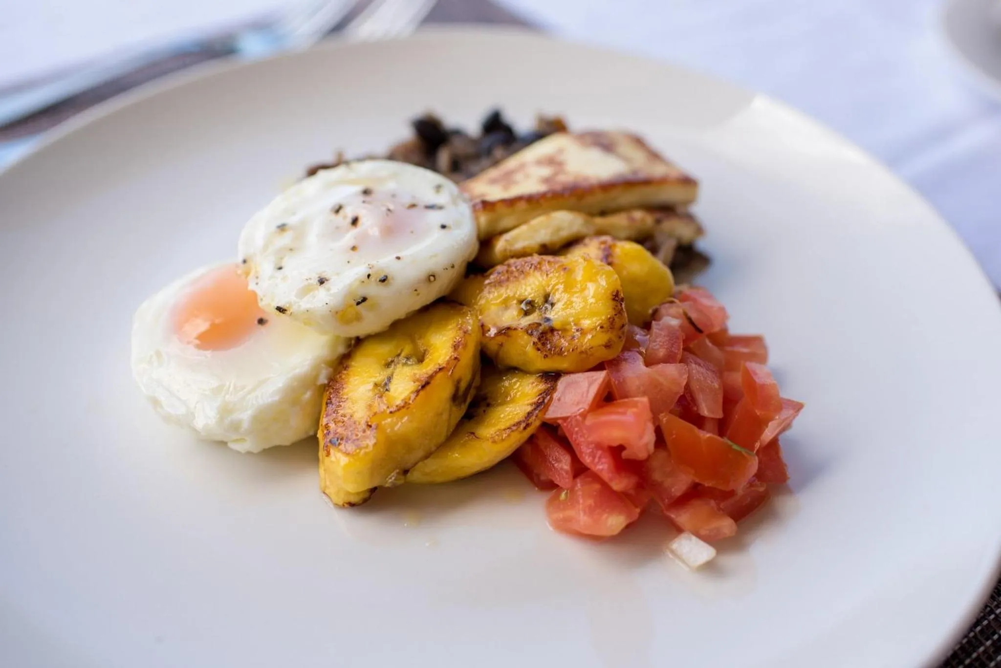 Food and drinks in Vida Mountain Resort & Spa Adults Only