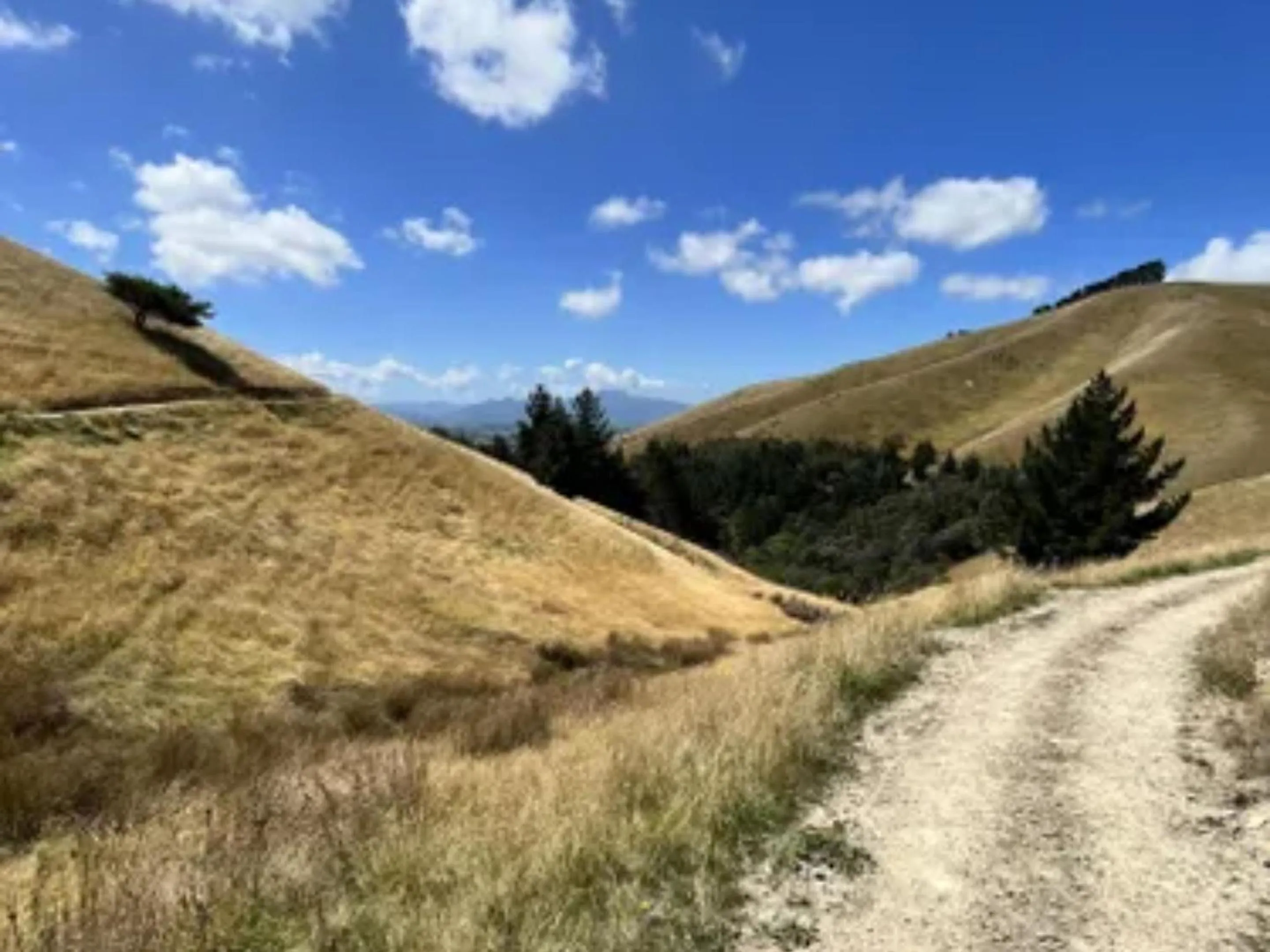 Hiking in Ashleigh Court Motel