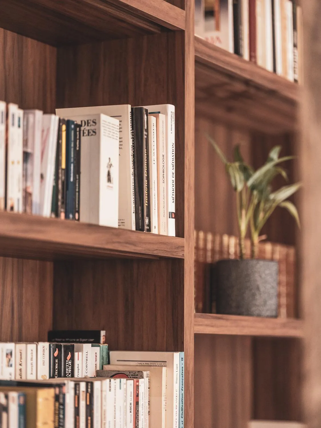 Library in Hôtel Belleval