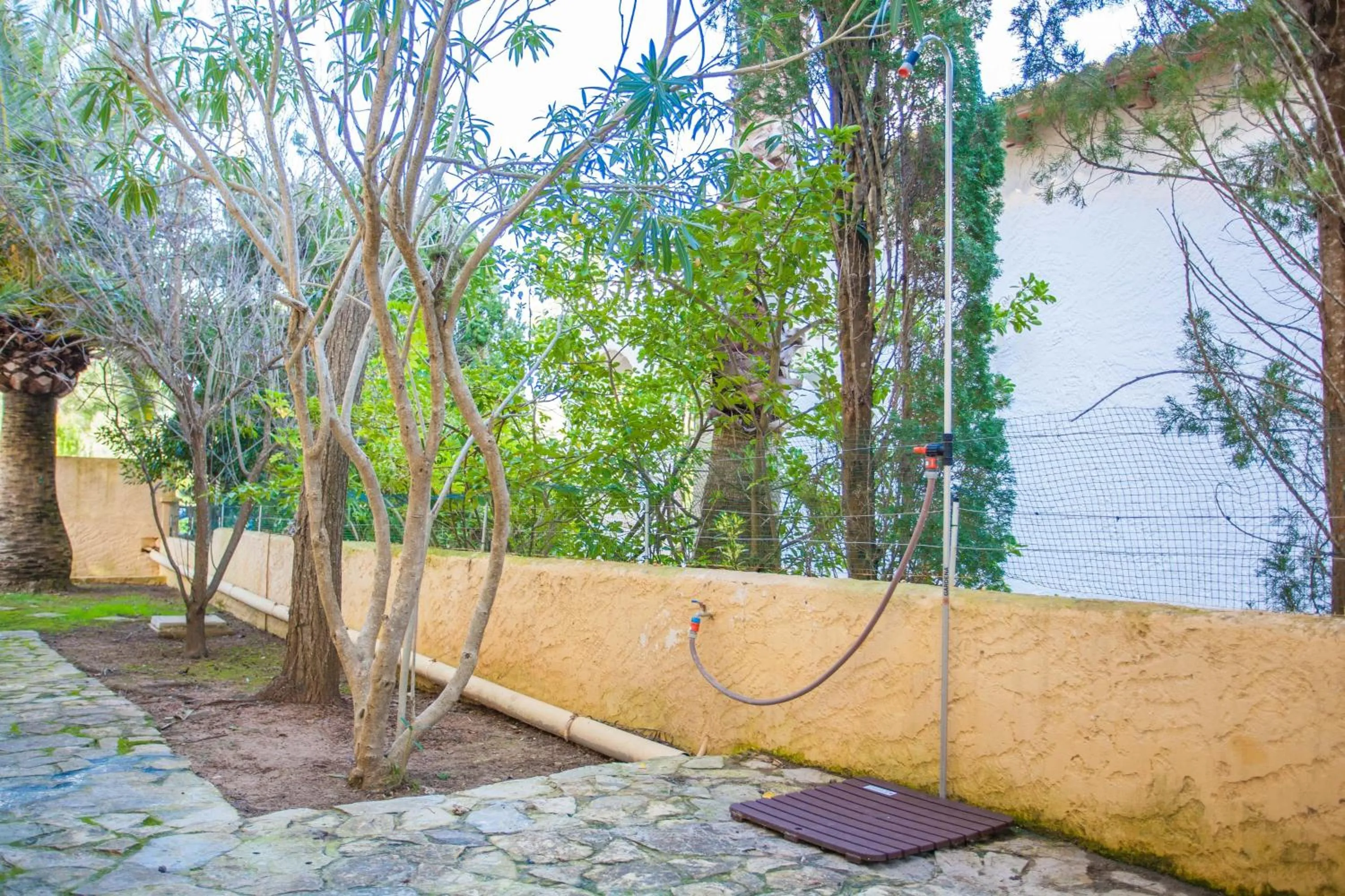 Decorative detail in Rudy