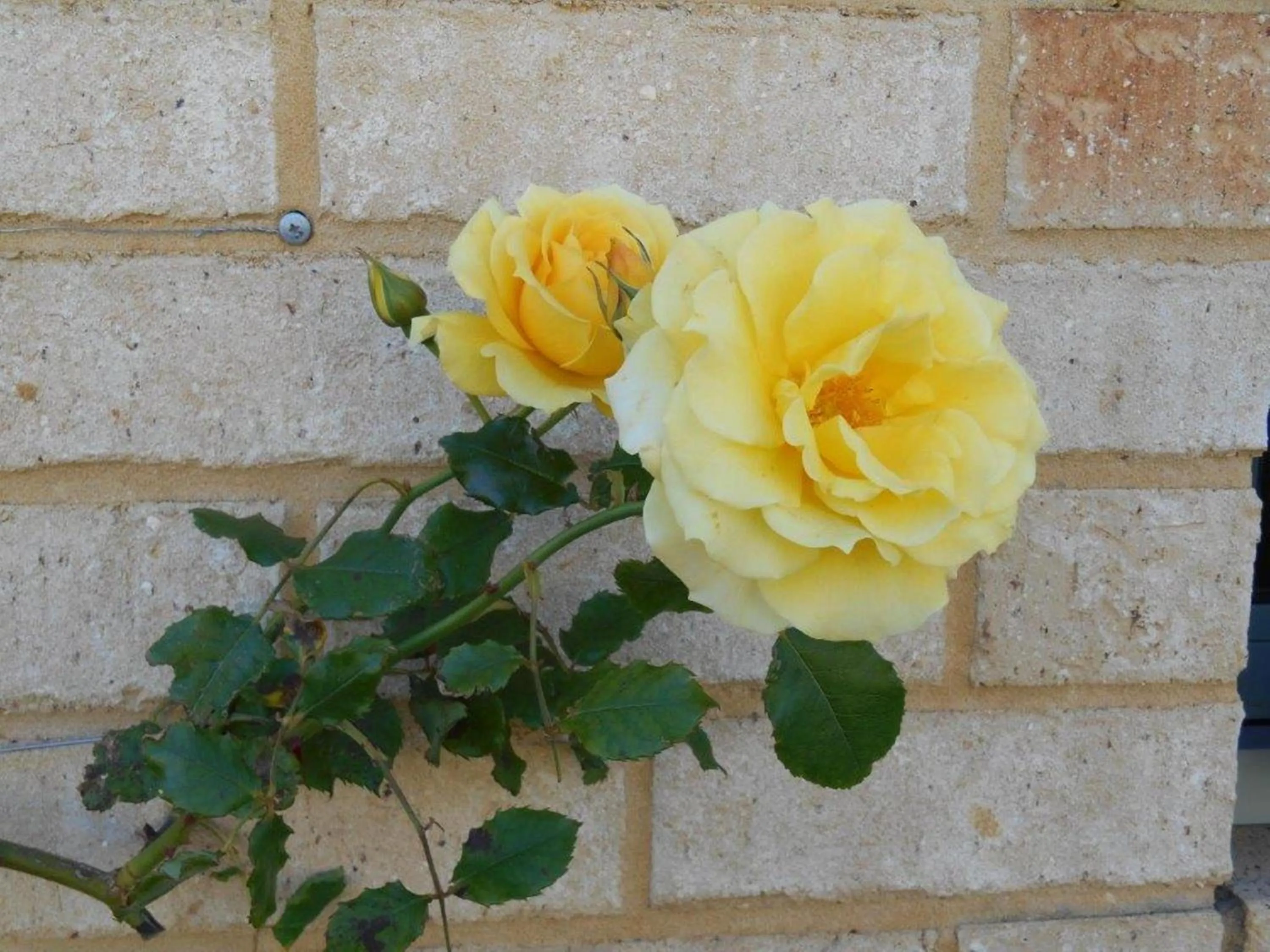 Other in Bayshore Beachside Resort