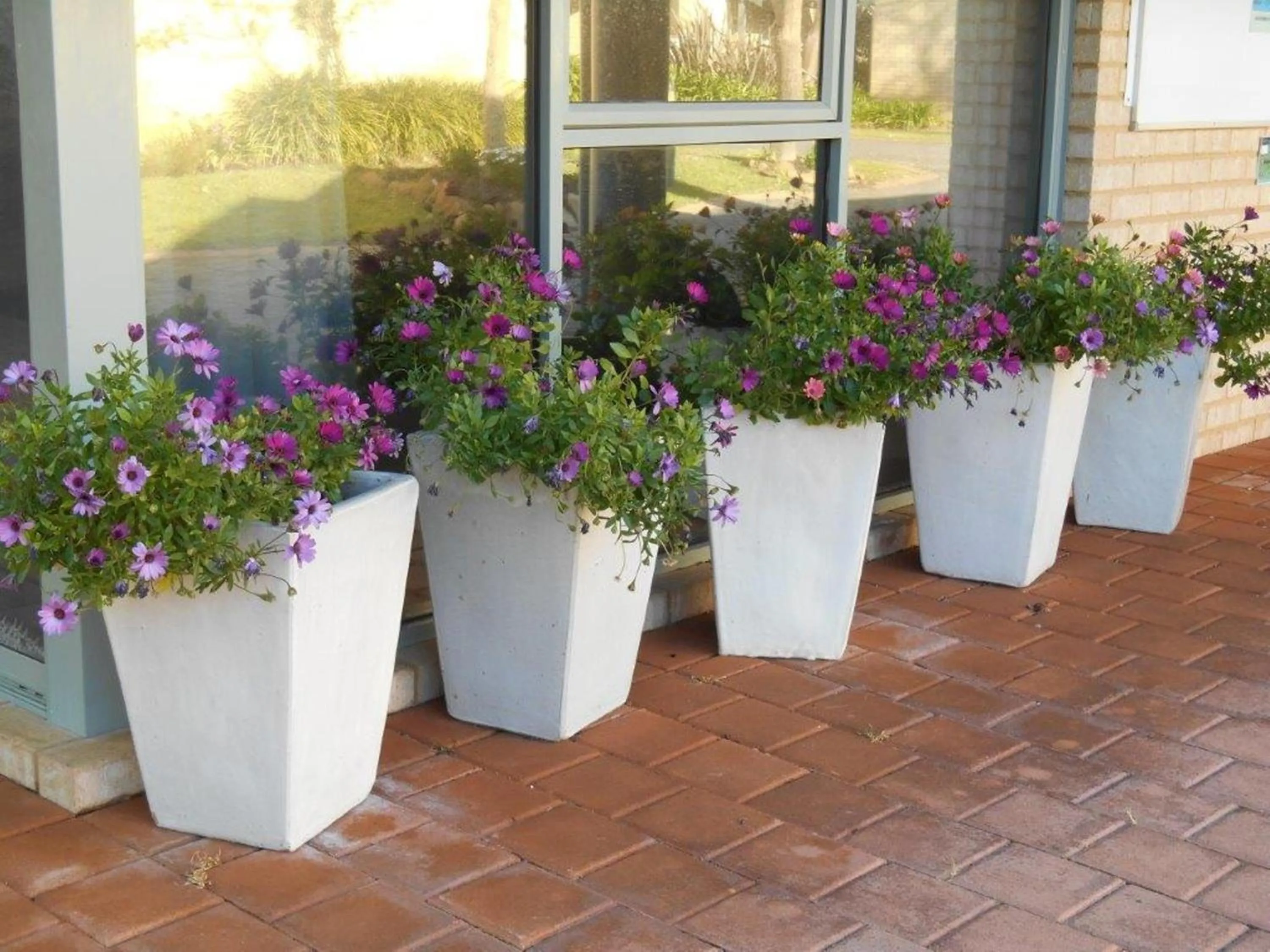 Other in Bayshore Beachside Resort