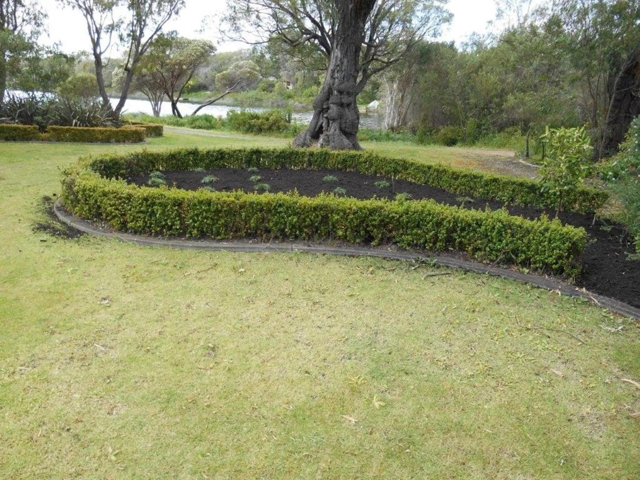 Area and facilities in Bayshore Beachside Resort