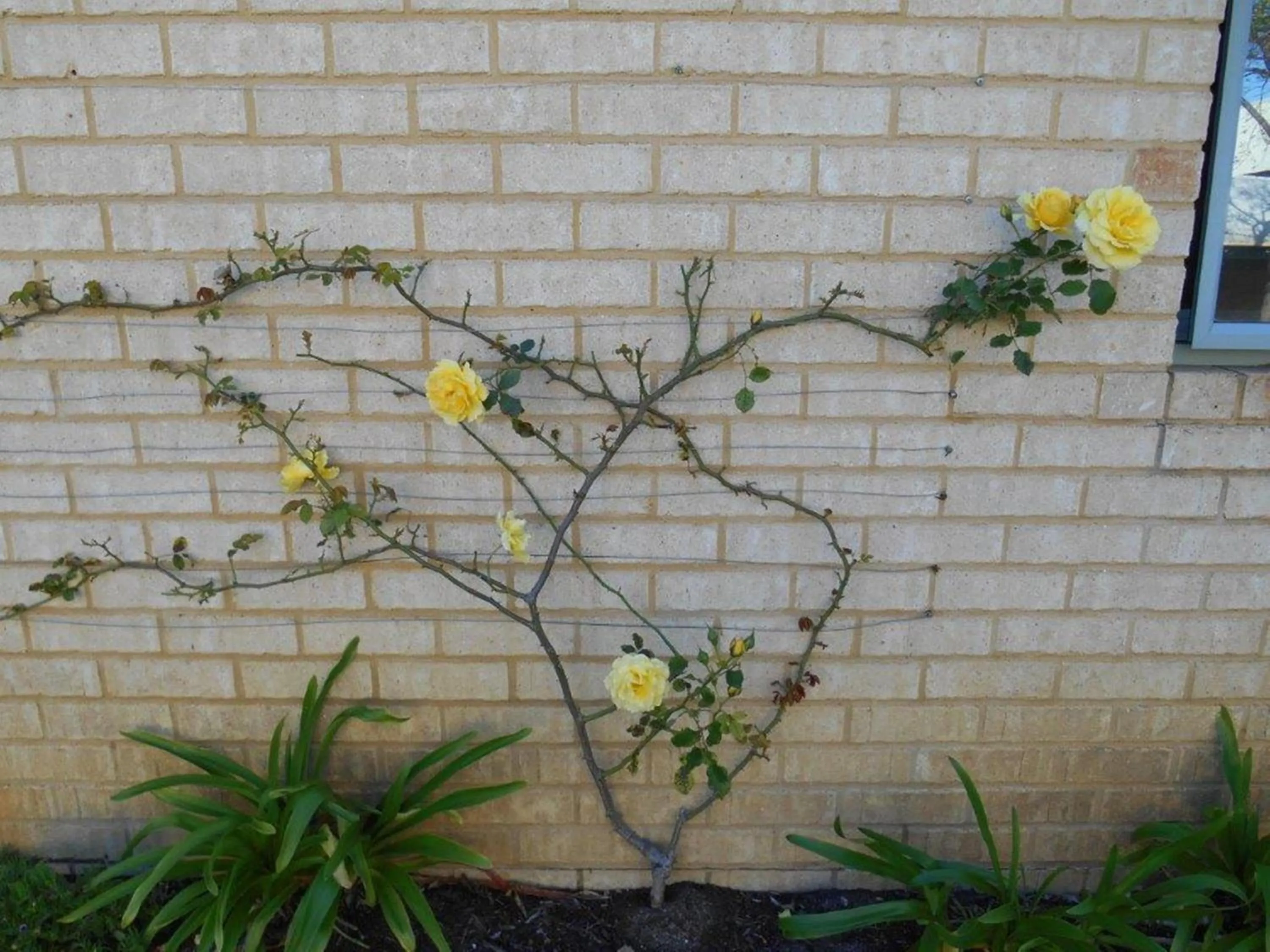 Other in Bayshore Beachside Resort