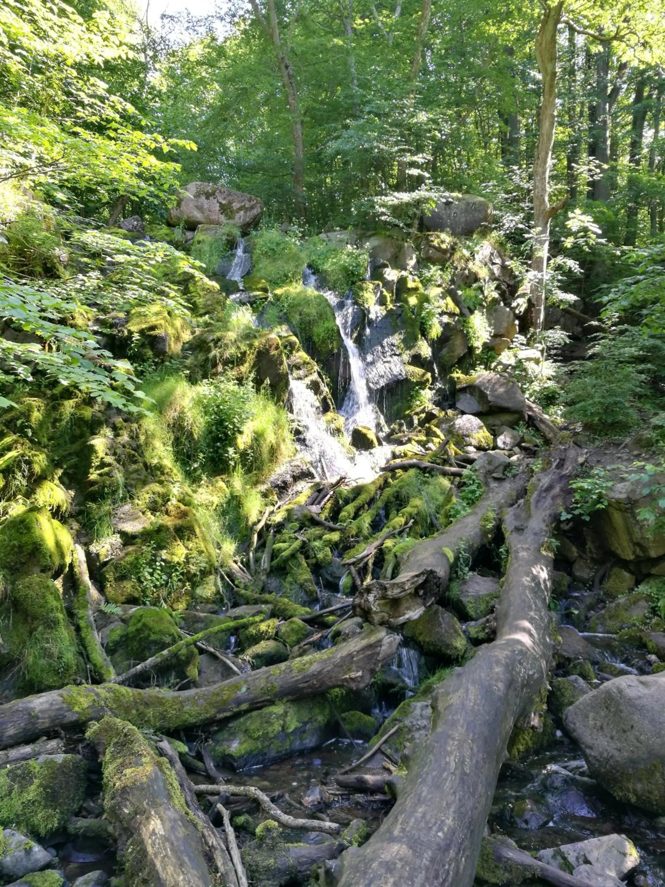 Spring in Grønbechs Hotel