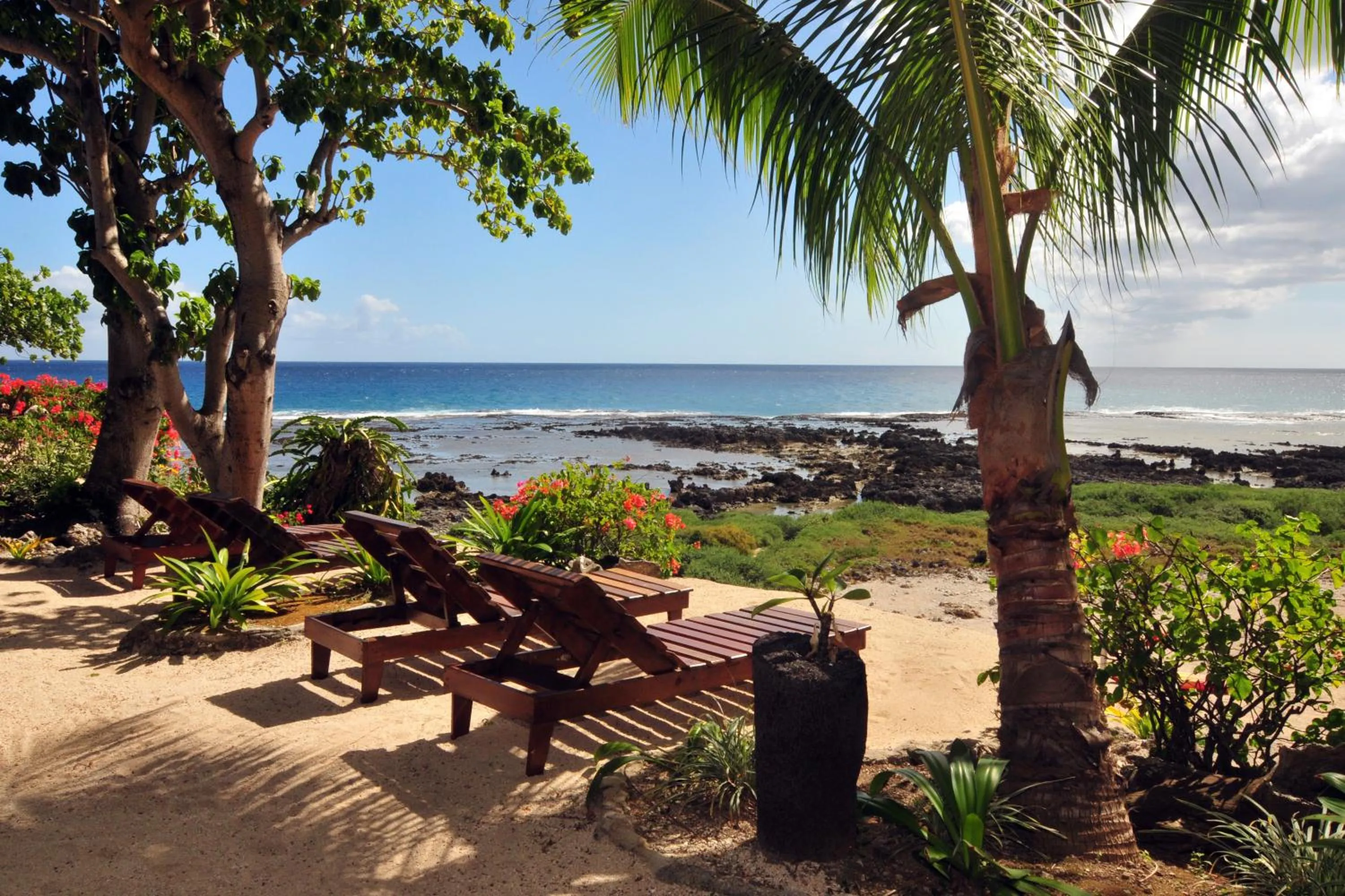 Day in White Grass Ocean Resort & Spa