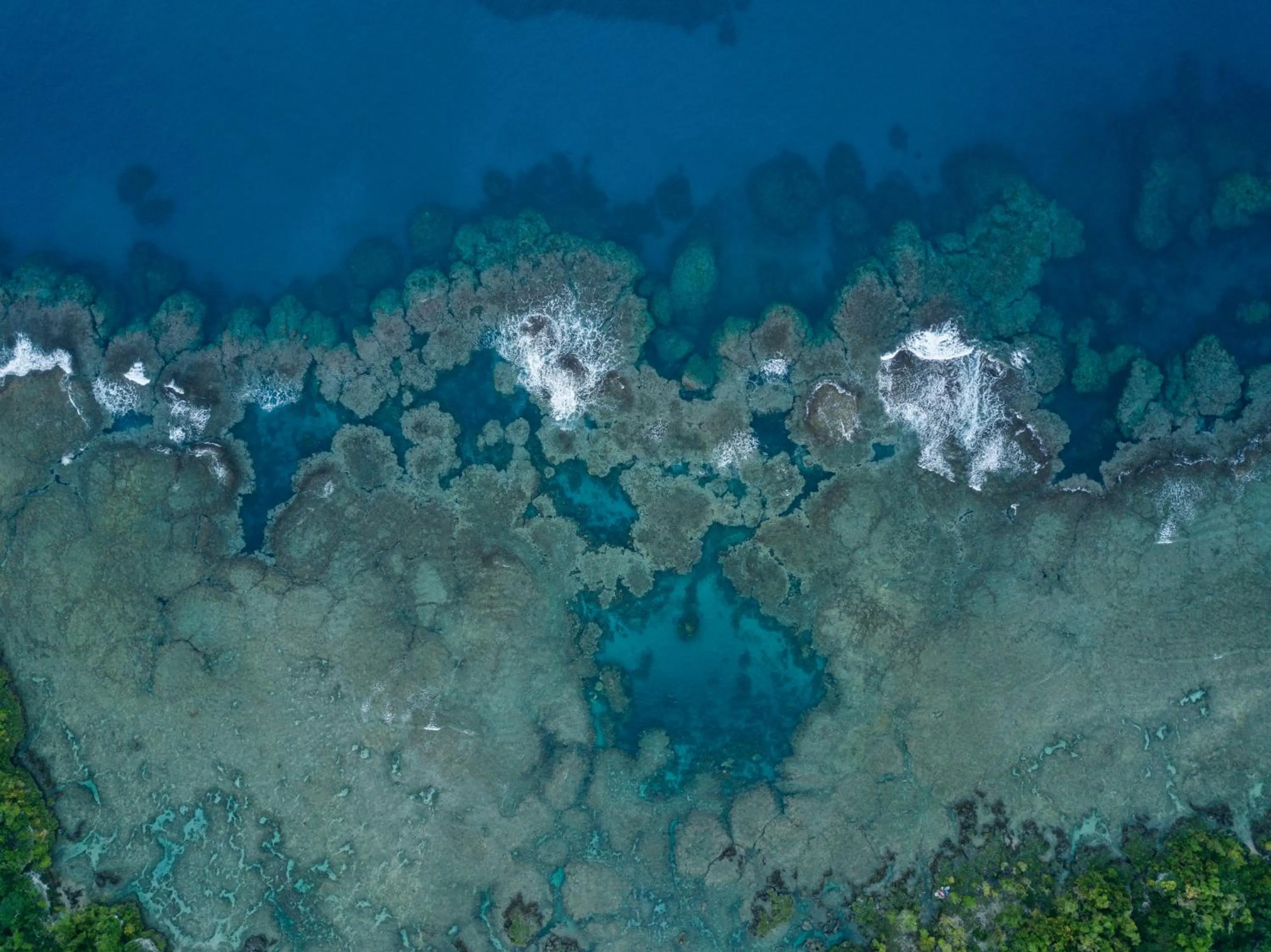 Natural landscape in White Grass Ocean Resort & Spa