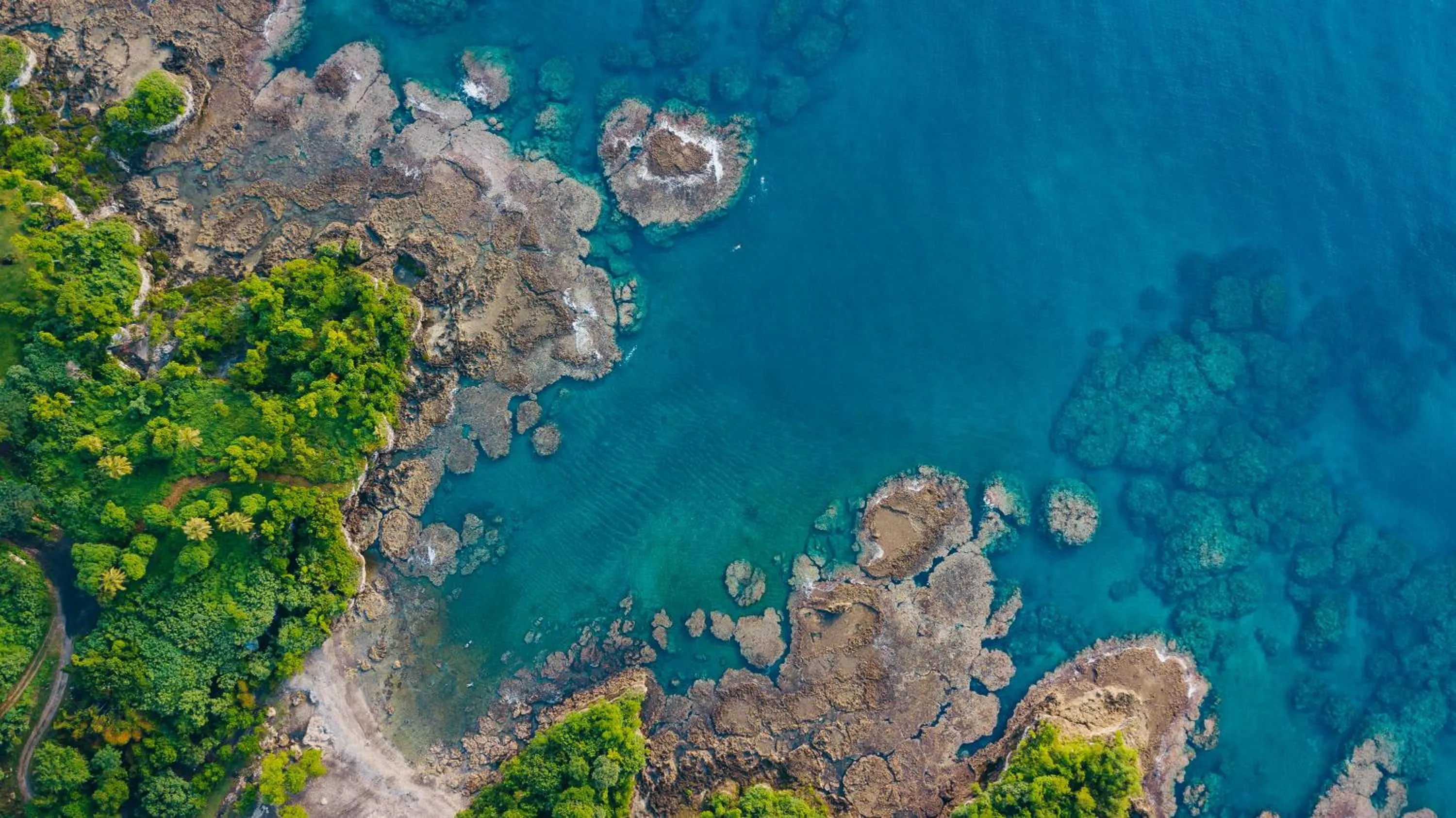 Snorkeling in White Grass Ocean Resort & Spa