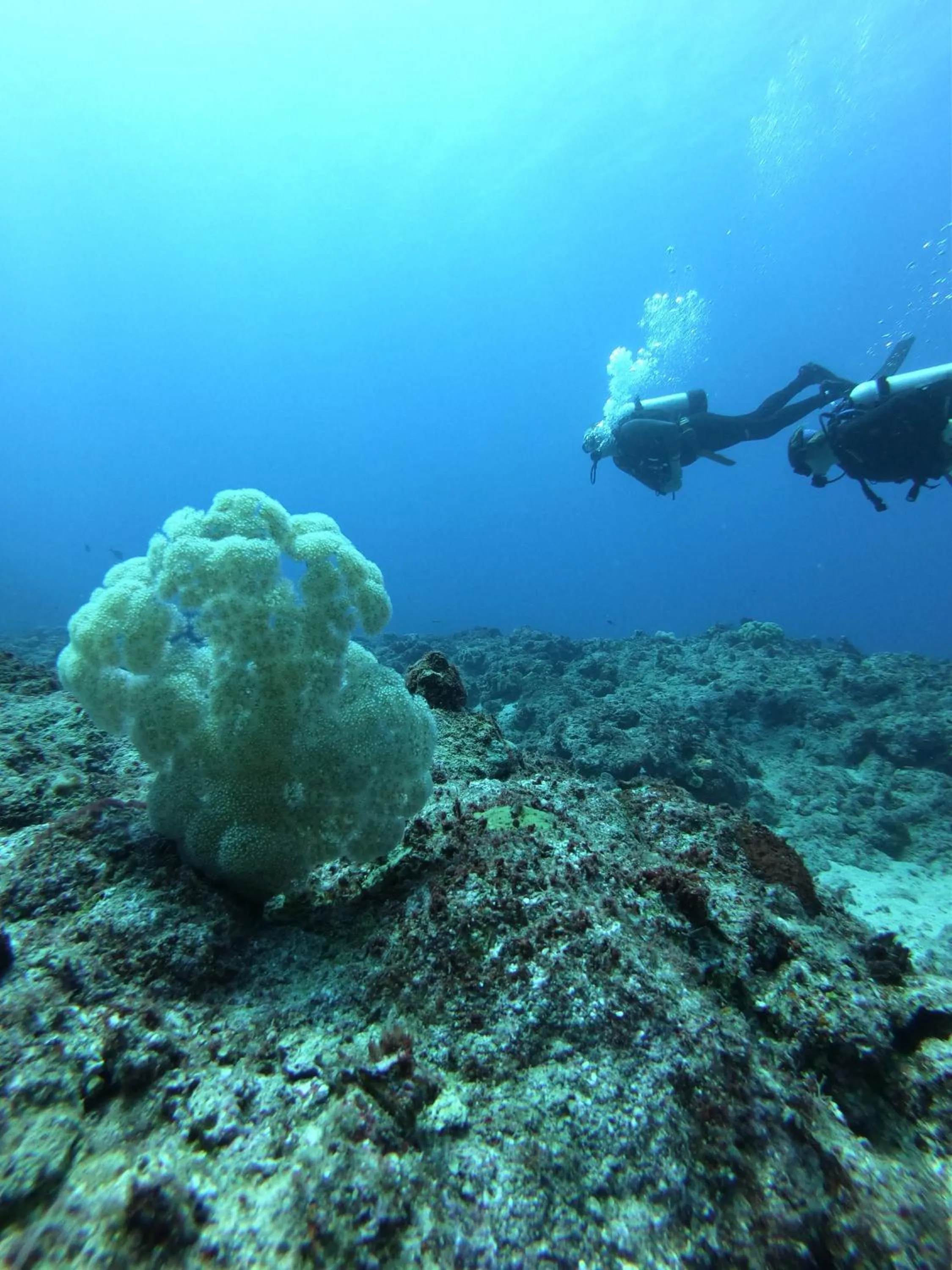 Activities in White Grass Ocean Resort & Spa