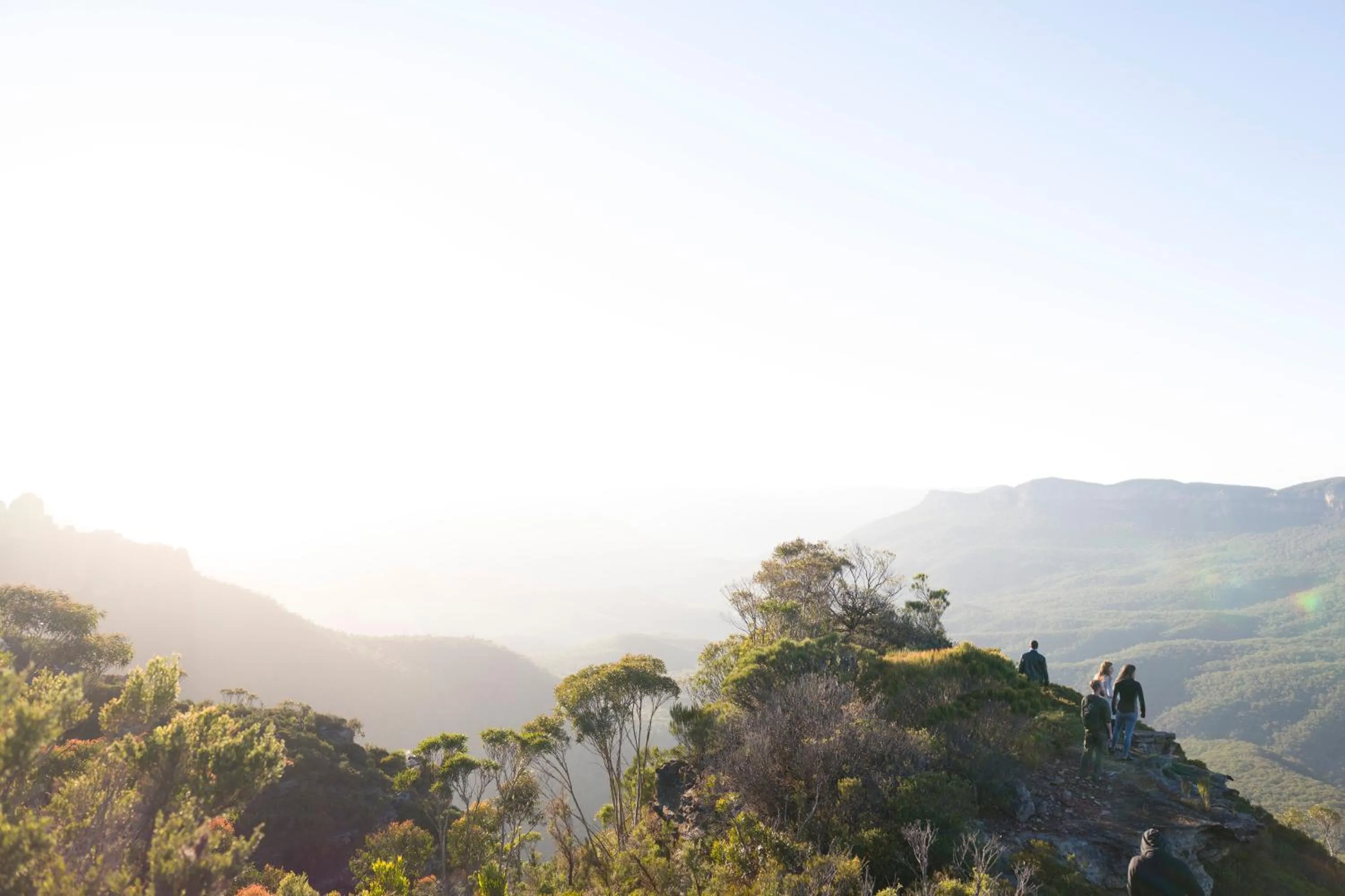 Natural landscape in YHA Blue Mountains Katoomba