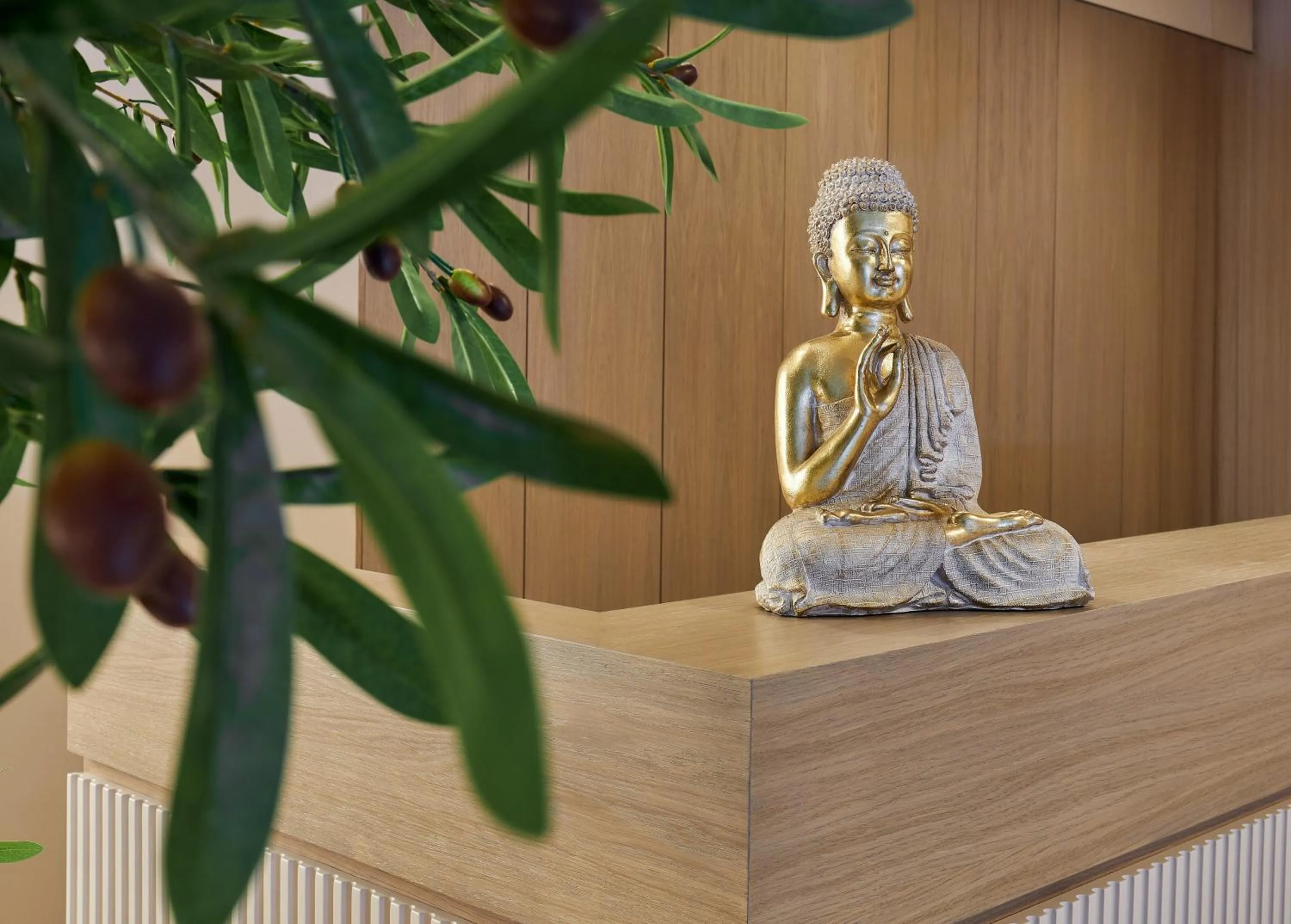 Spa and wellness centre/facilities in Blue Marine Resort and Spa Hotel