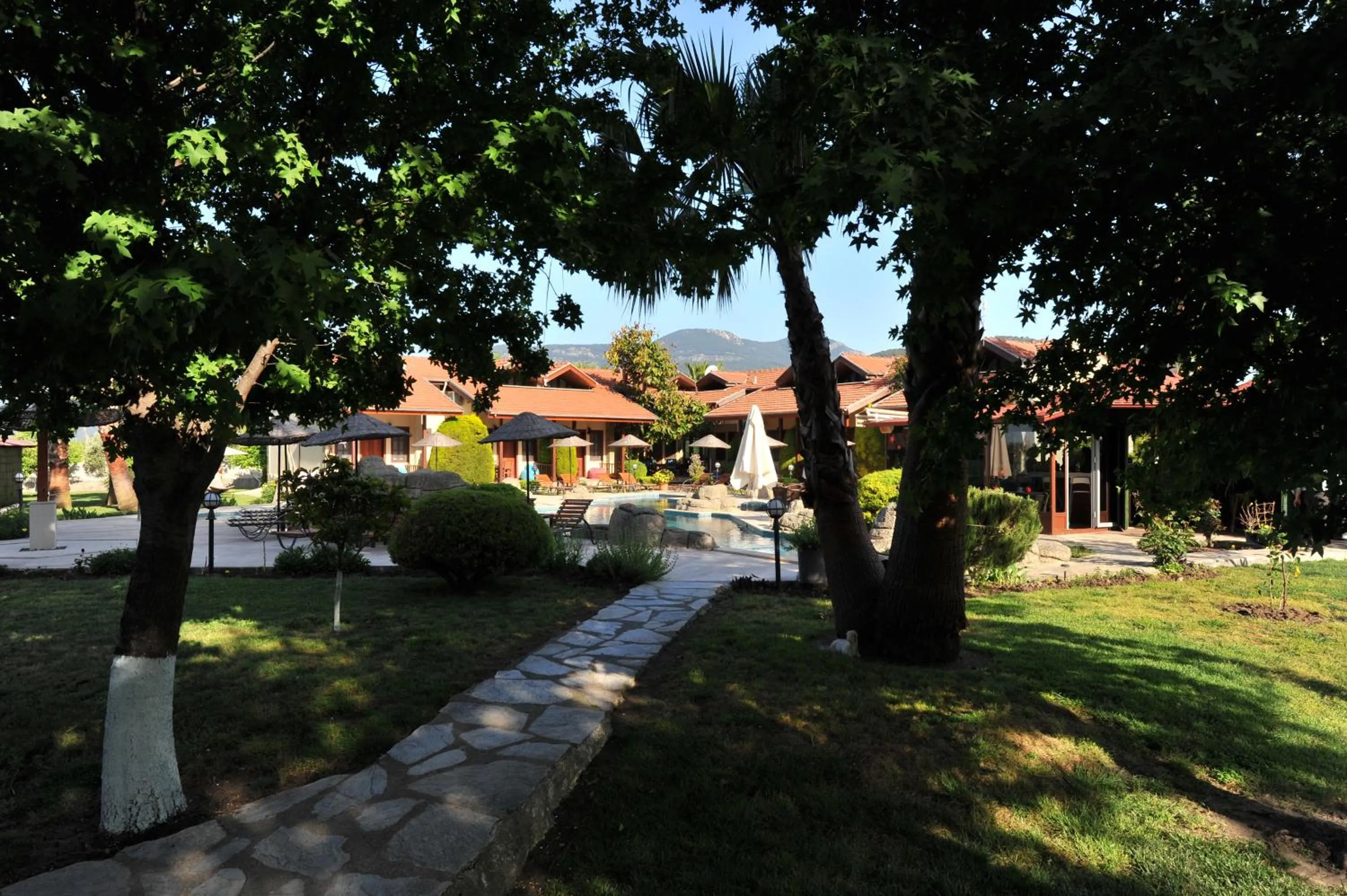 Garden in Grenadine Lodge