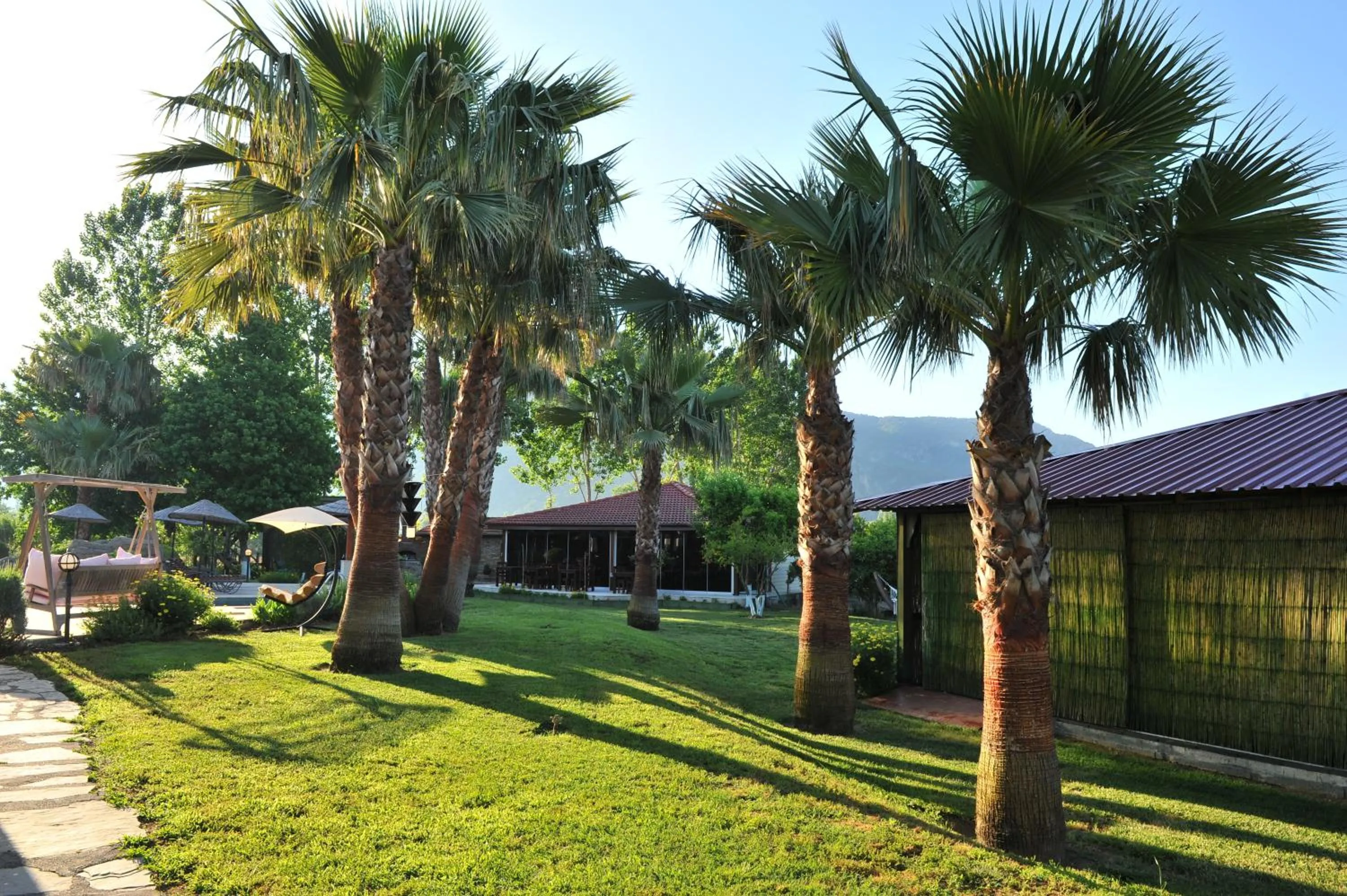 Garden in Grenadine Lodge
