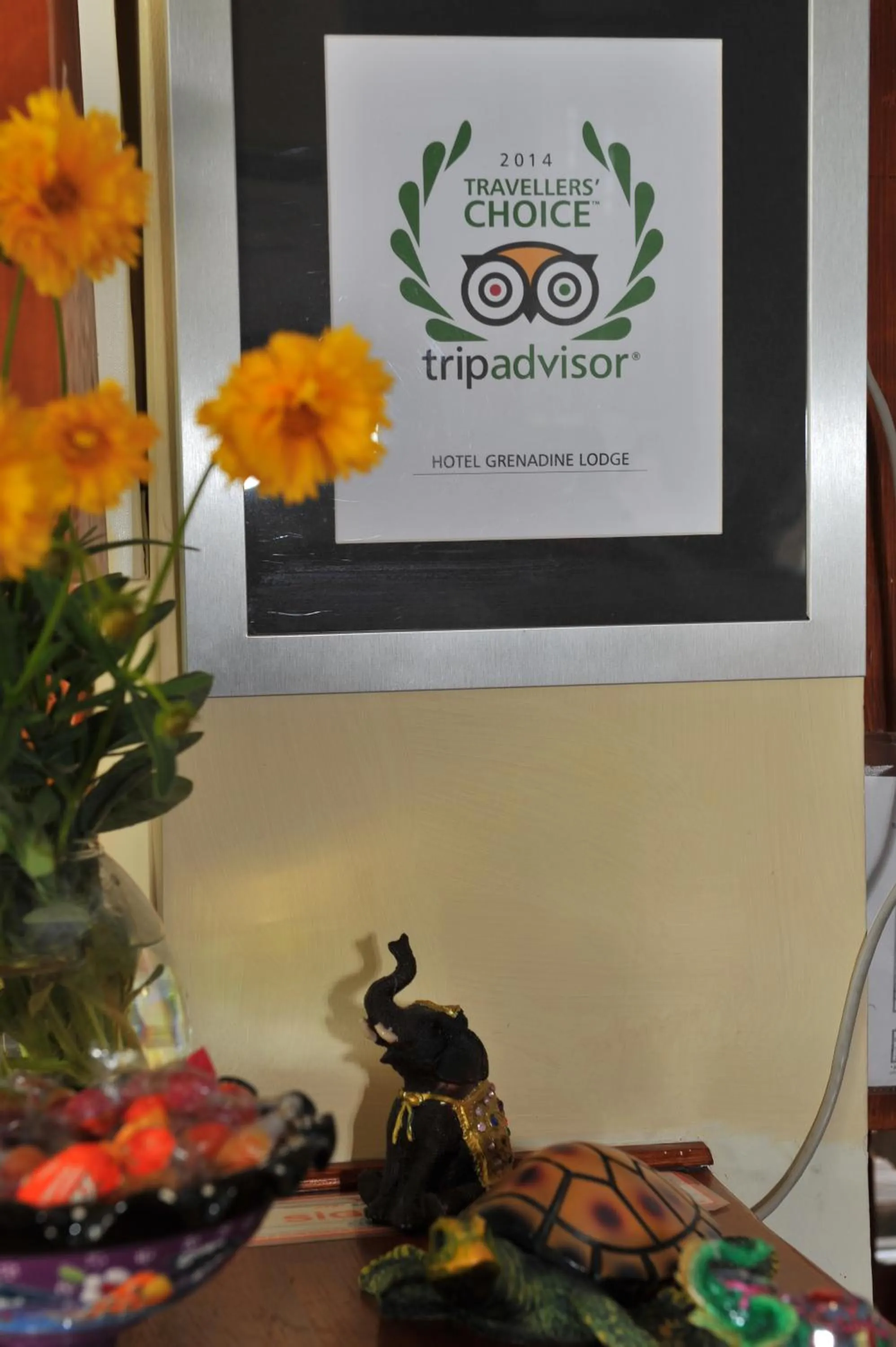 Certificate/Award in Grenadine Lodge