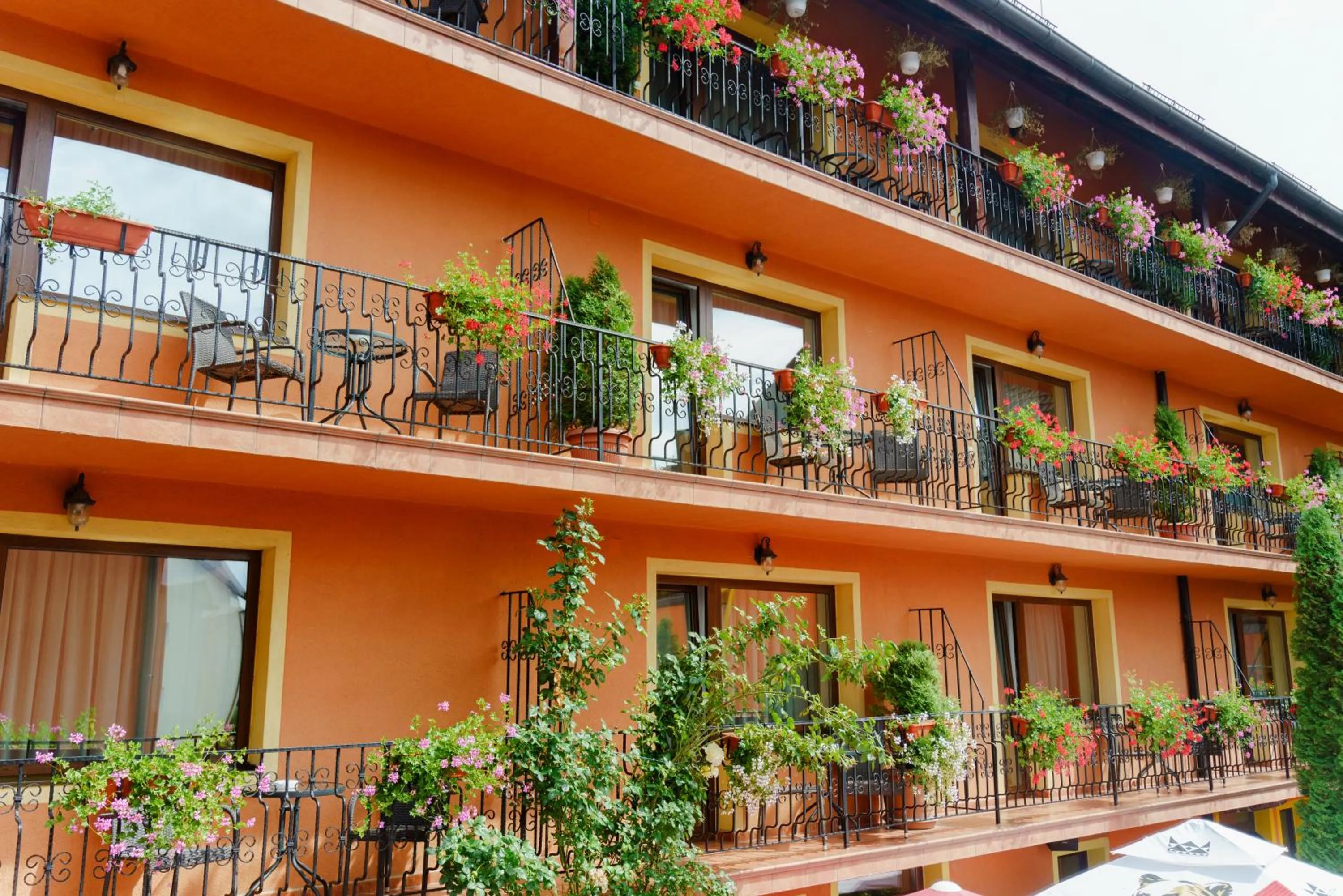 Property building in Complex Turistic Max International