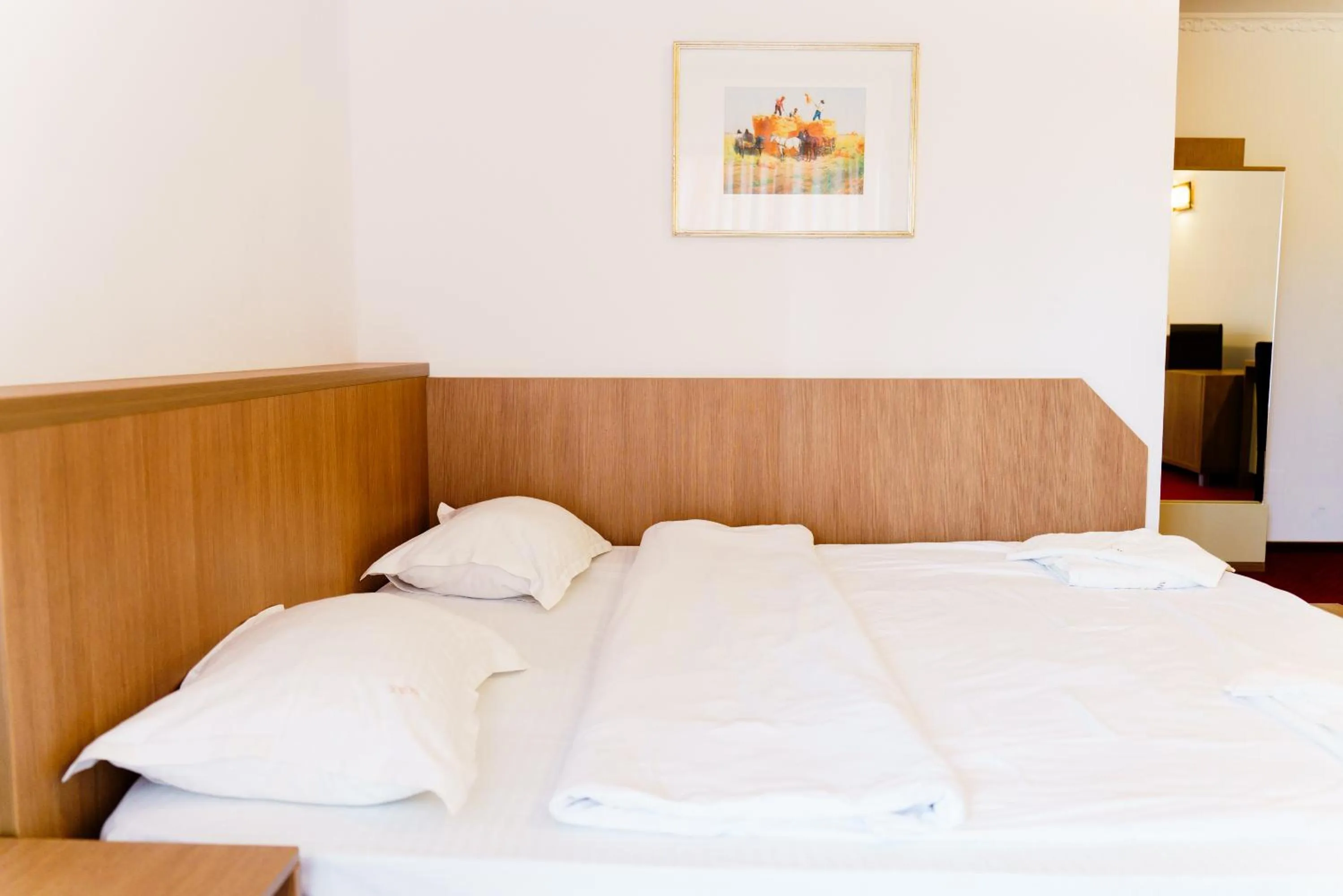 Bed in Complex Turistic Max International